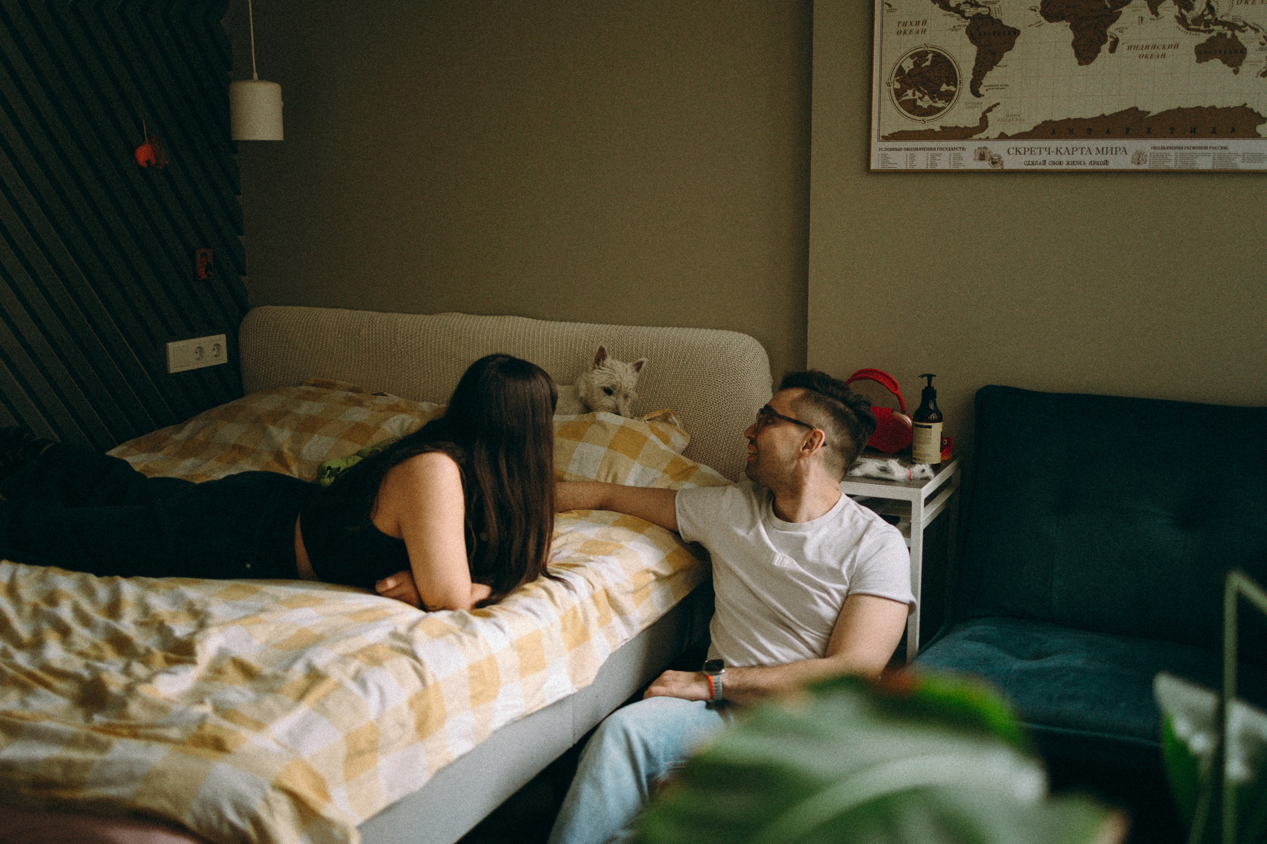 Снежуля, Мари и Саша. Фотограф анималист Анастасия Пикей