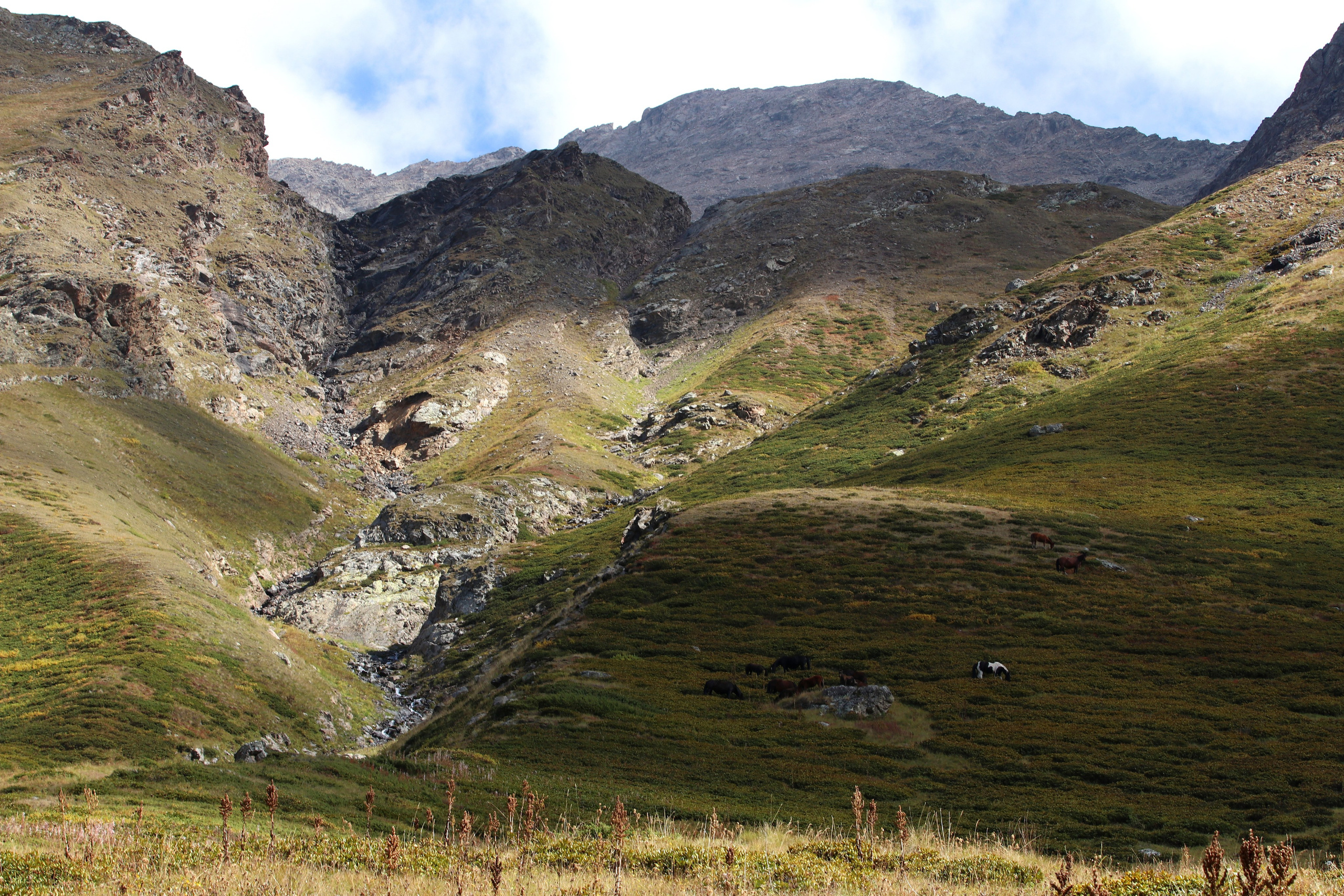 Приэльбрусье. Сентябрь 2024. Путешественник-фотограф из Санкт-Петербурга Татьяна Свистулина