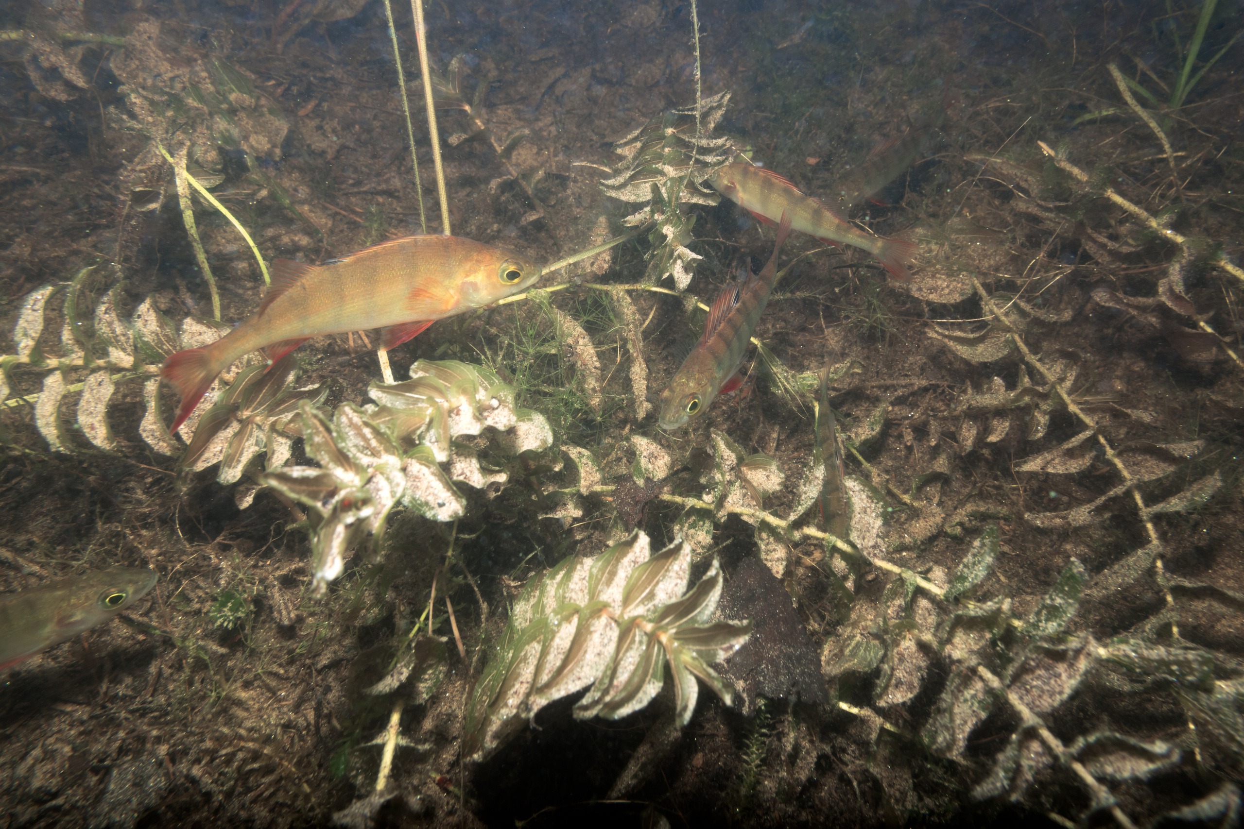 КеноVision 2020. Репортаржный фотограф в Архангельске Александра Конычева