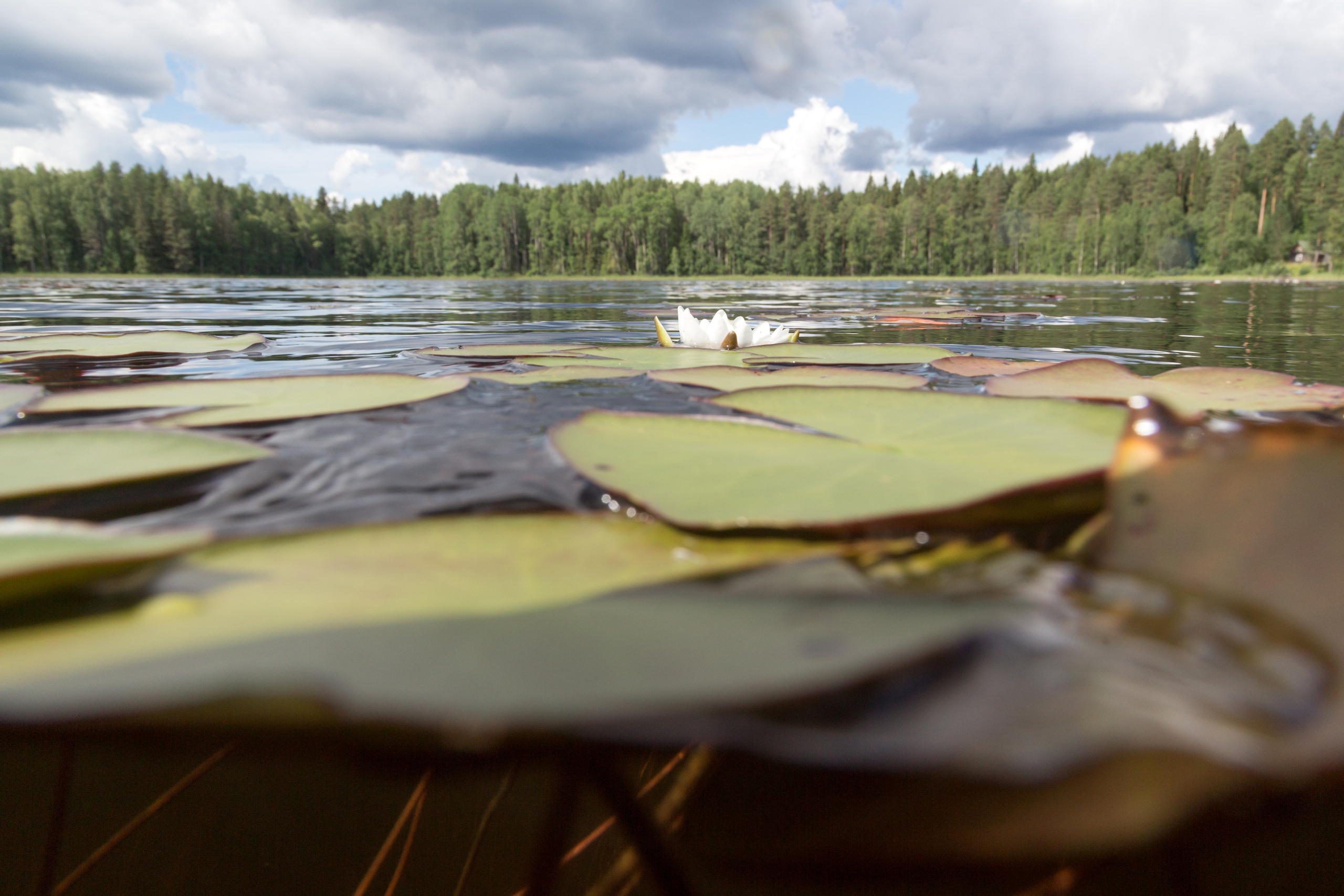 КеноVision 2020. Репортаржный фотограф в Архангельске Александра Конычева