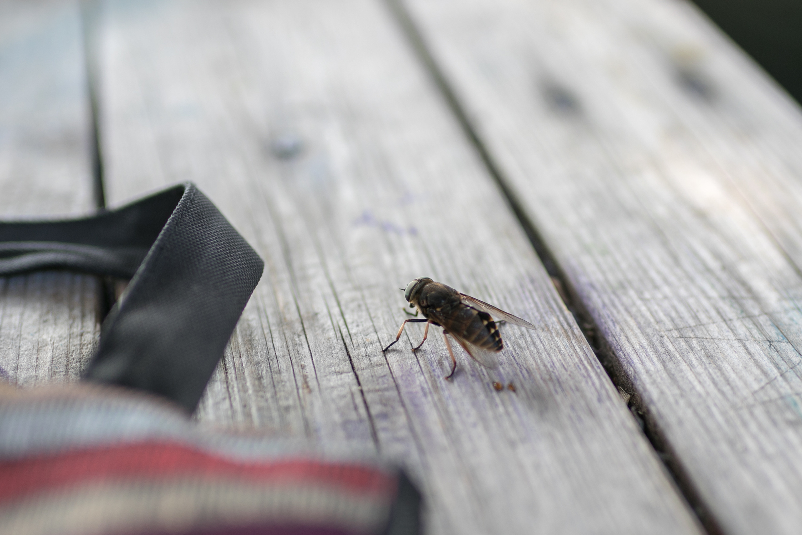 КеноVision 2022. Репортаржный фотограф в Архангельске Александра Конычева