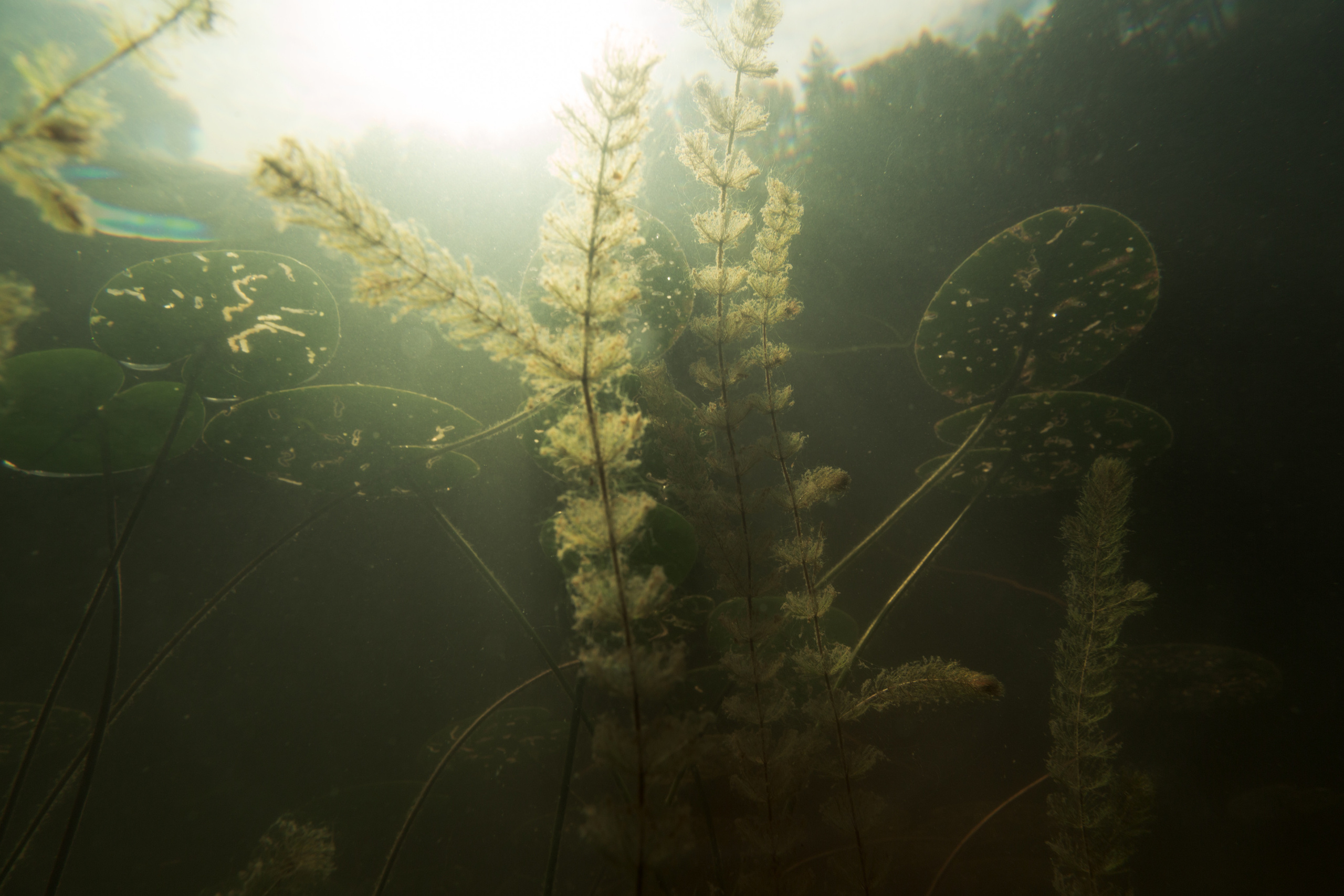 КеноVision 2020. Репортаржный фотограф в Архангельске Александра Конычева