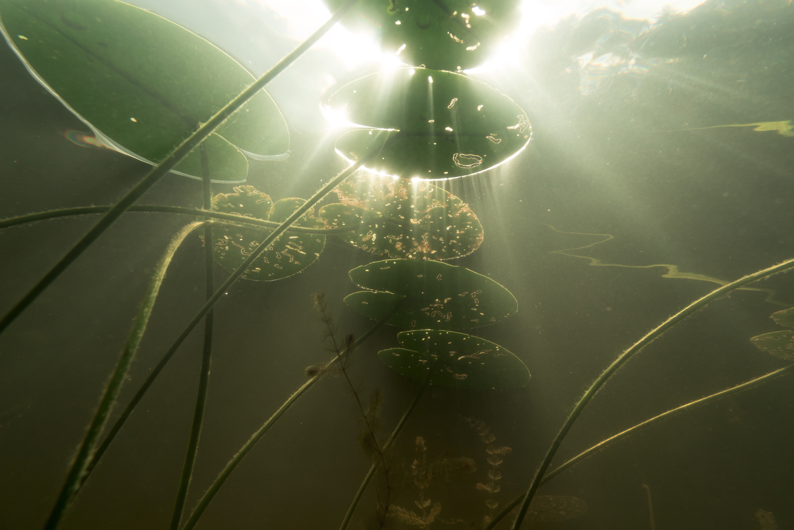 КеноVision 2020. Репортаржный фотограф в Архангельске Александра Конычева