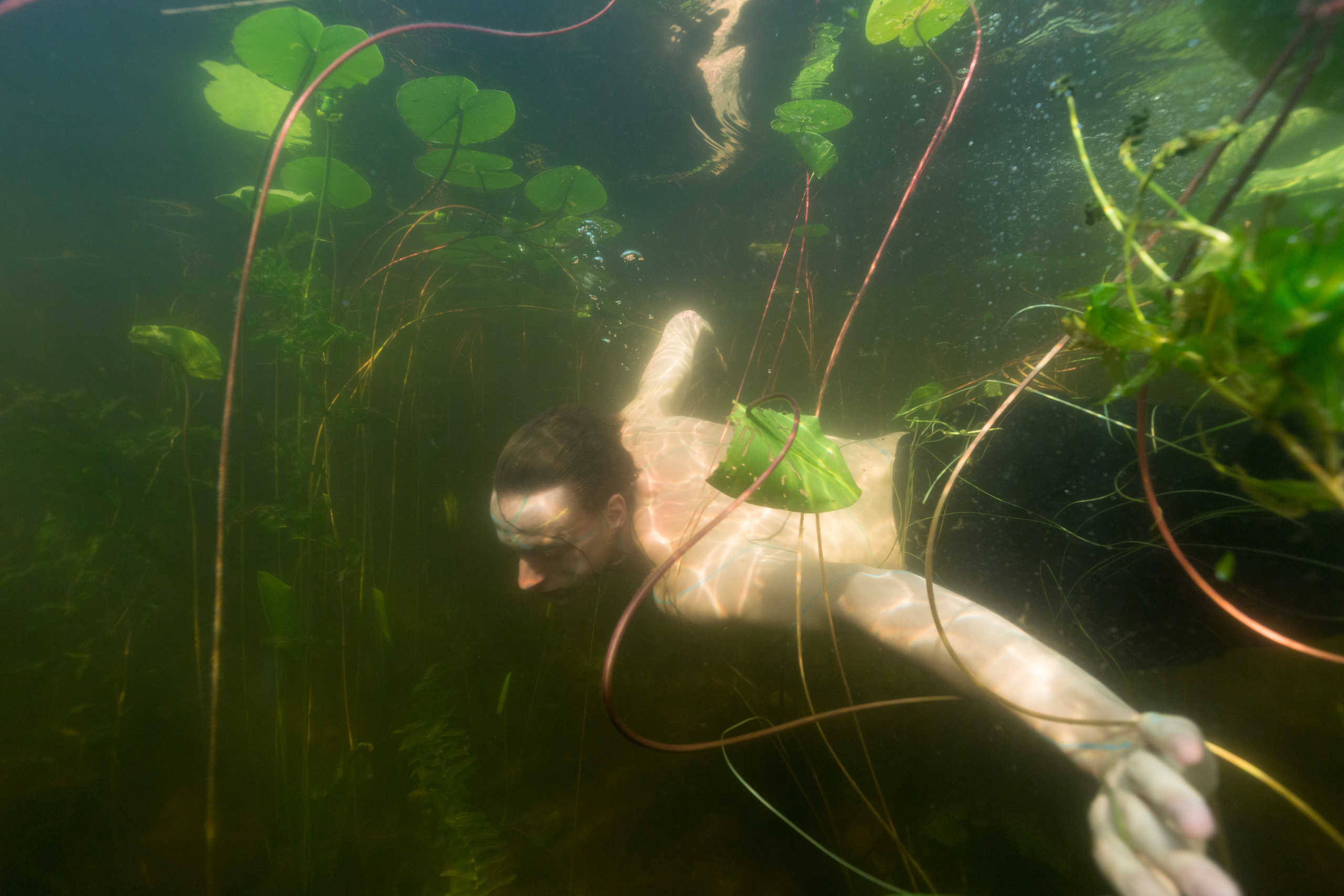 Открытая вода (озёра). Репортаржный фотограф в Архангельске Александра Конычева