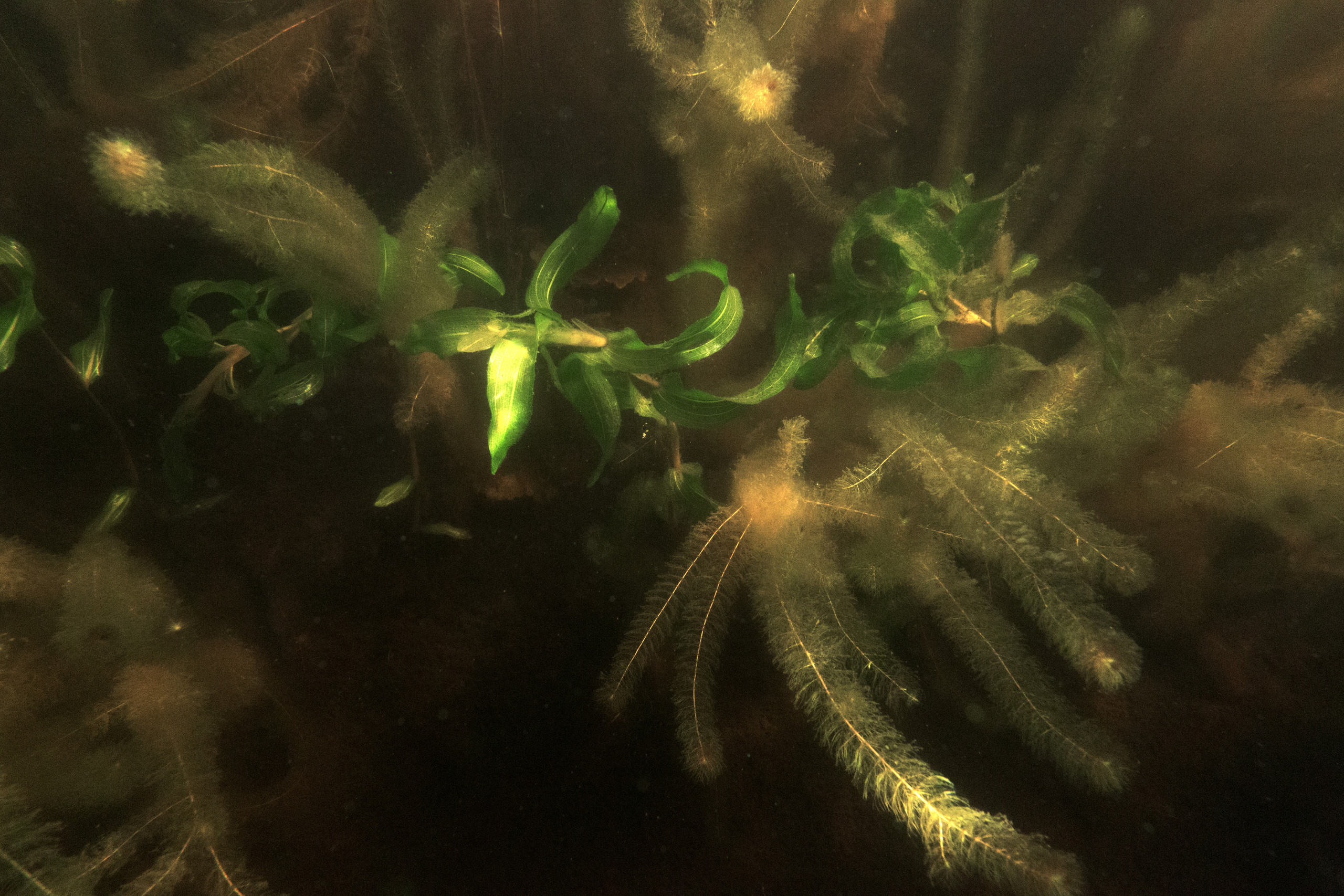 КеноVision 2020. Репортаржный фотограф в Архангельске Александра Конычева