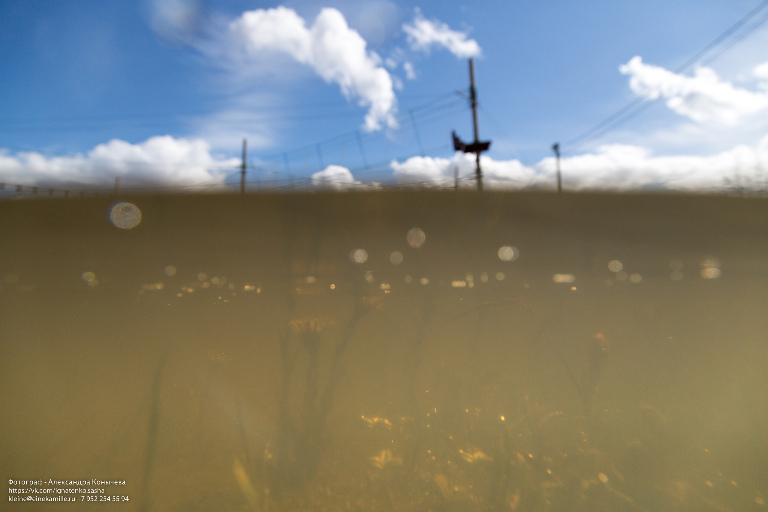 Вейкбординг. Репортаржный фотограф в Архангельске Александра Конычева