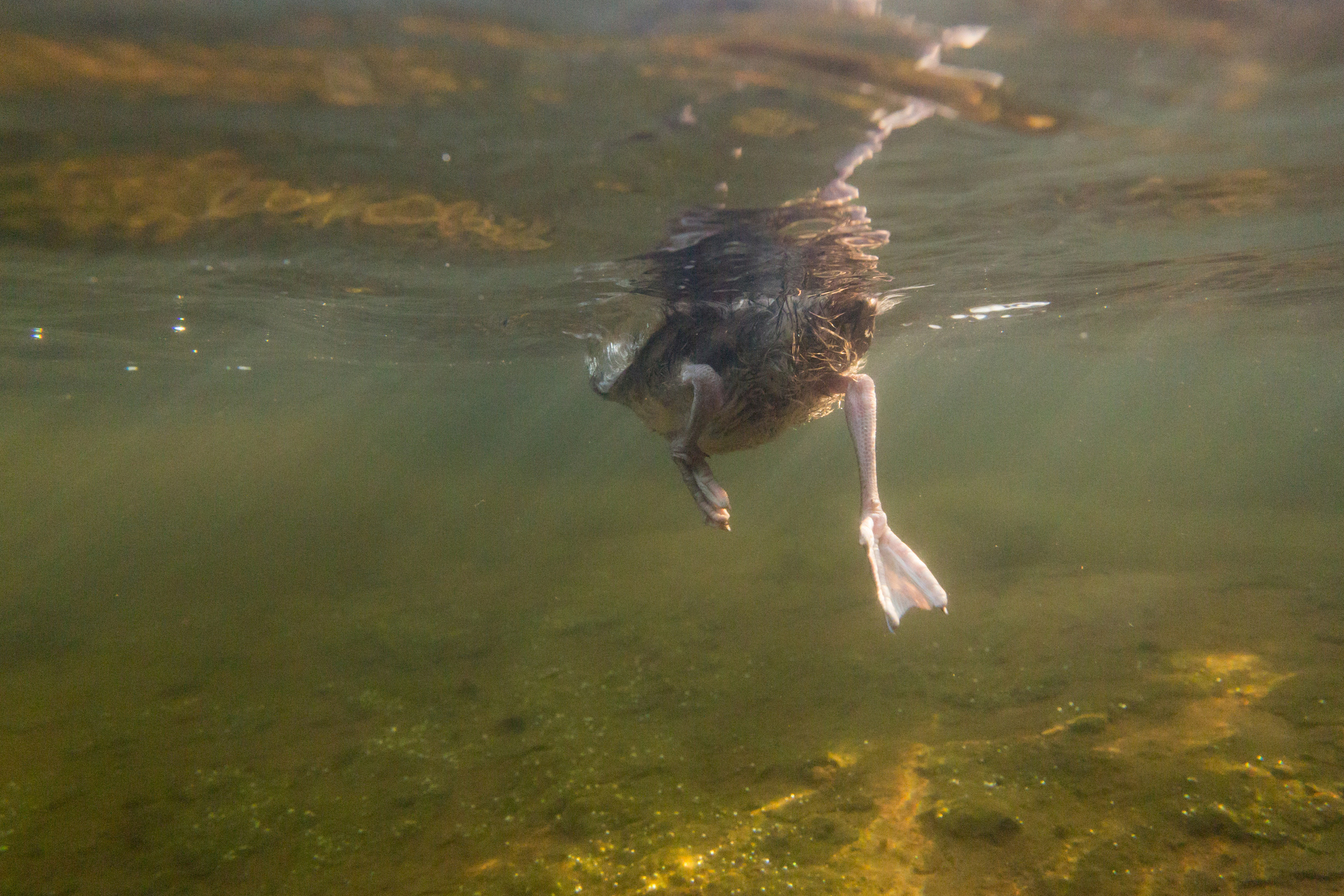 Открытая вода (озёра). Репортаржный фотограф в Архангельске Александра Конычева
