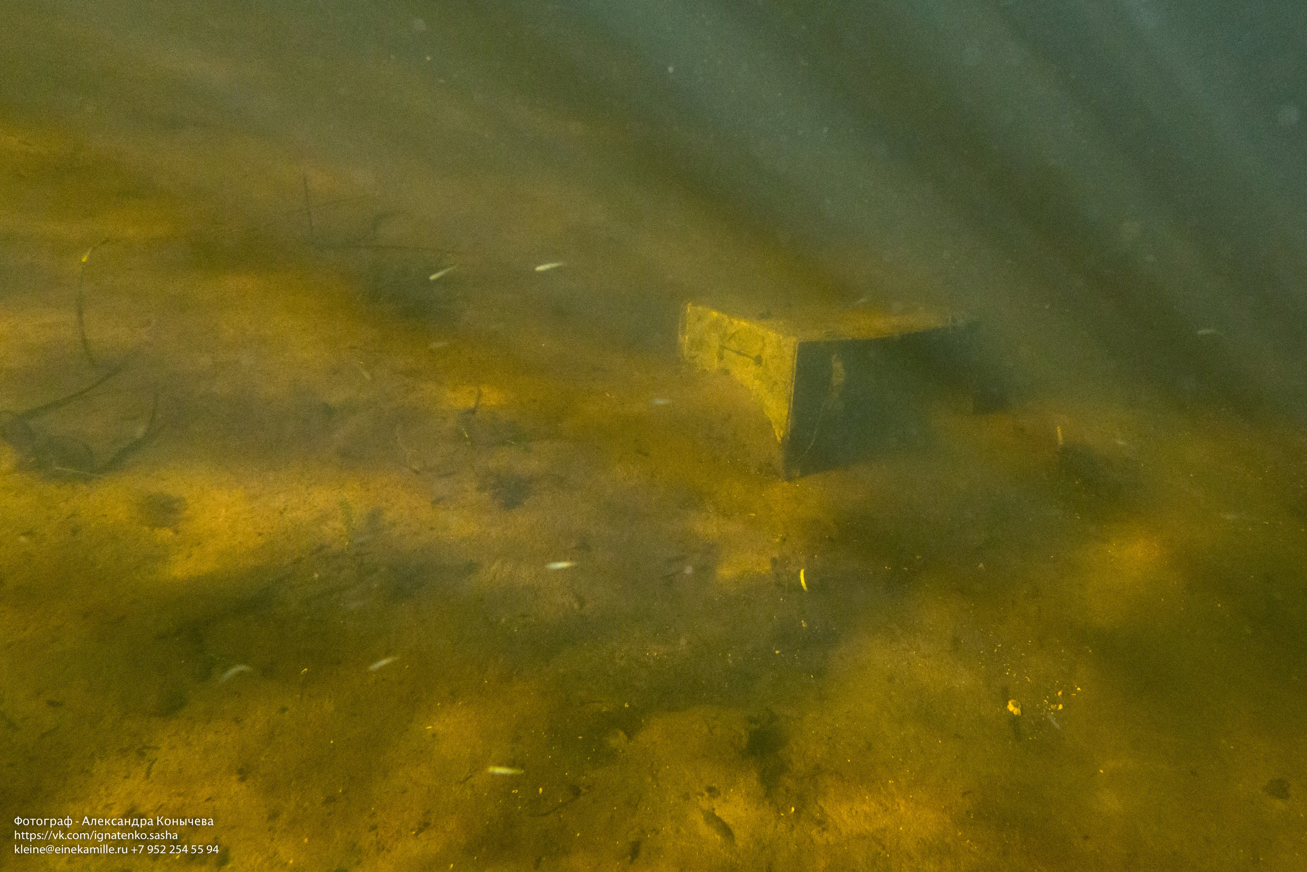 Открытая вода (озёра). Репортаржный фотограф в Архангельске Александра Конычева