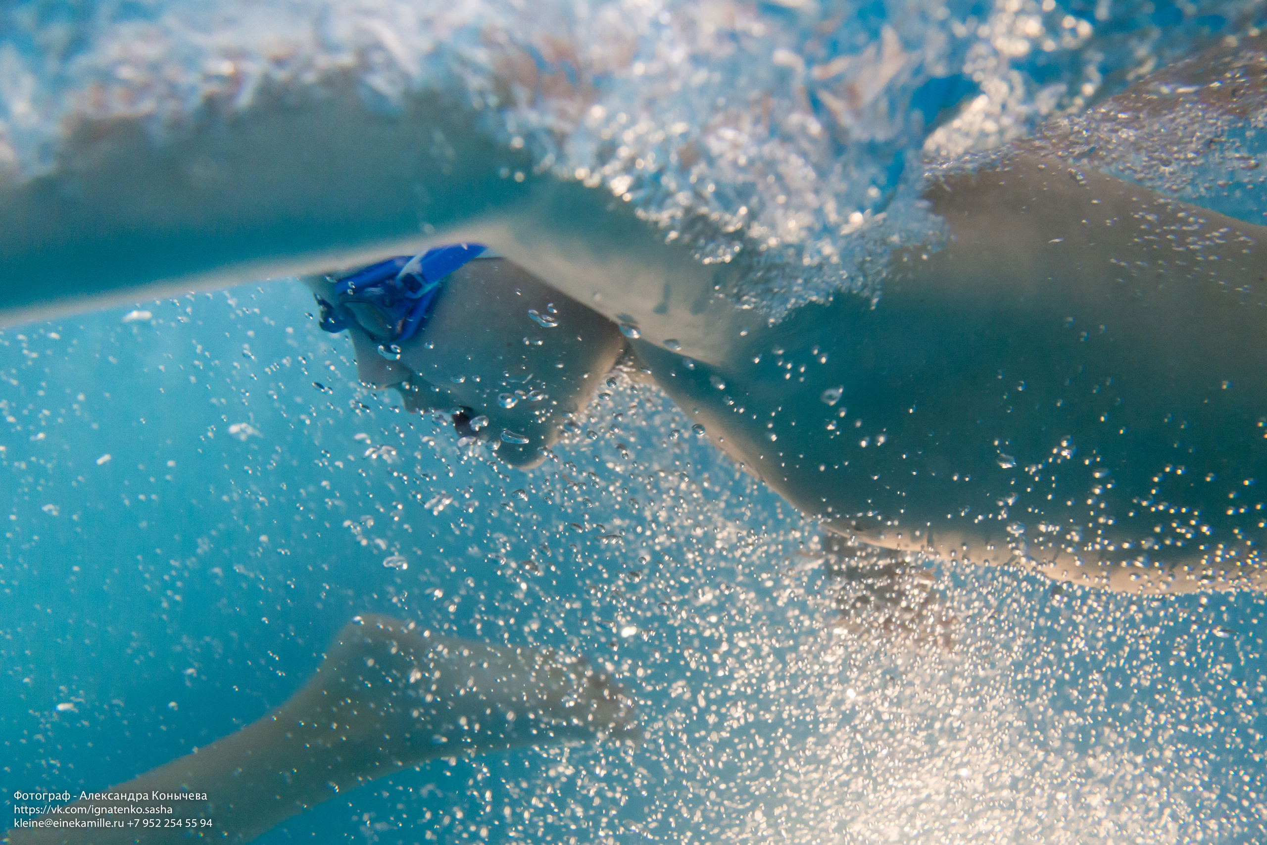 Большой бассейн (соревнования, тренировки). Репортаржный фотограф в Архангельске Александра Конычева