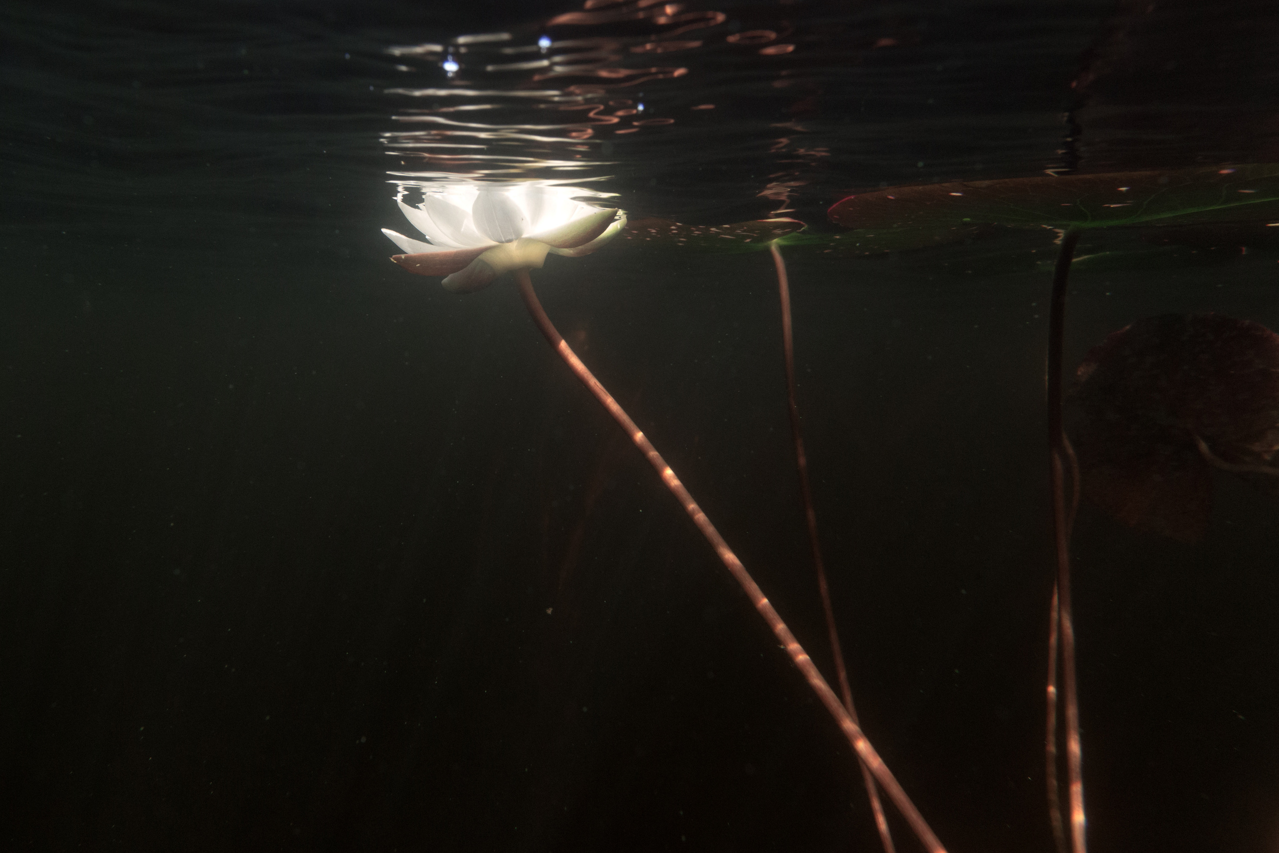 КеноVision 2020. Репортаржный фотограф в Архангельске Александра Конычева