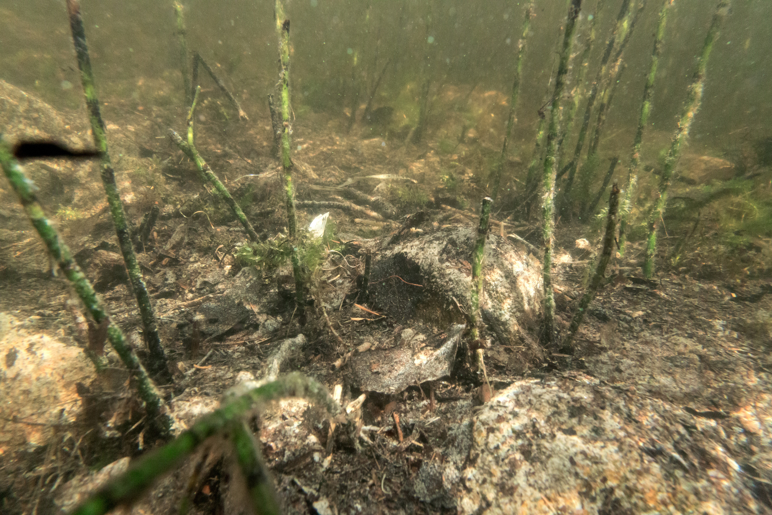 КеноVision 2020. Репортаржный фотограф в Архангельске Александра Конычева