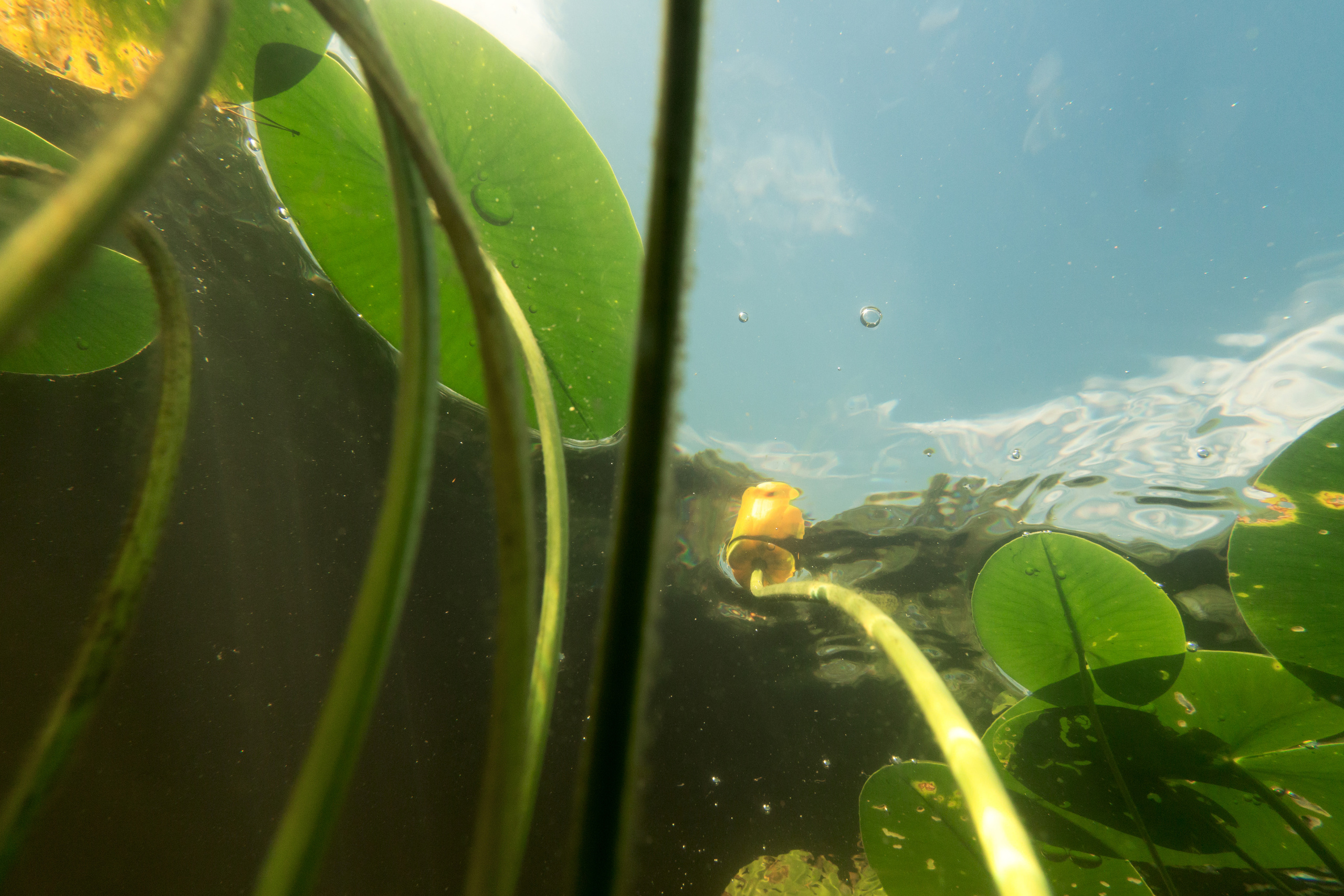 КеноVision 2020. Репортаржный фотограф в Архангельске Александра Конычева