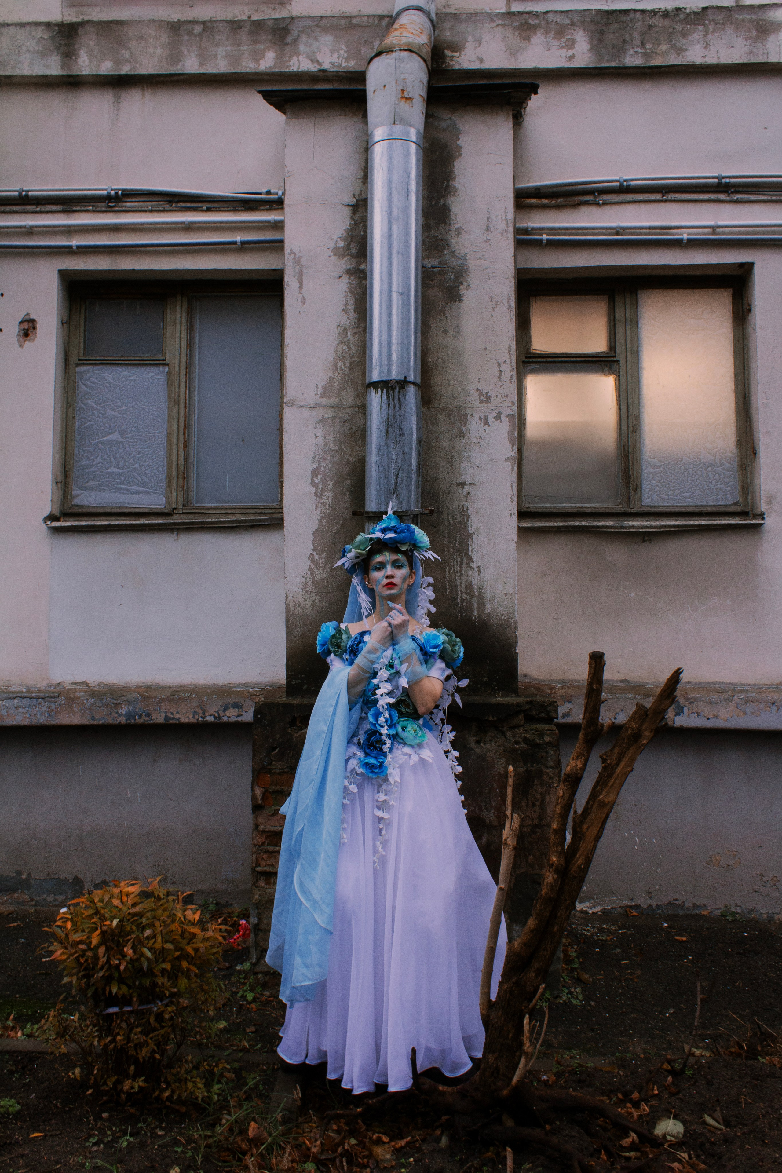 Голубая мечта