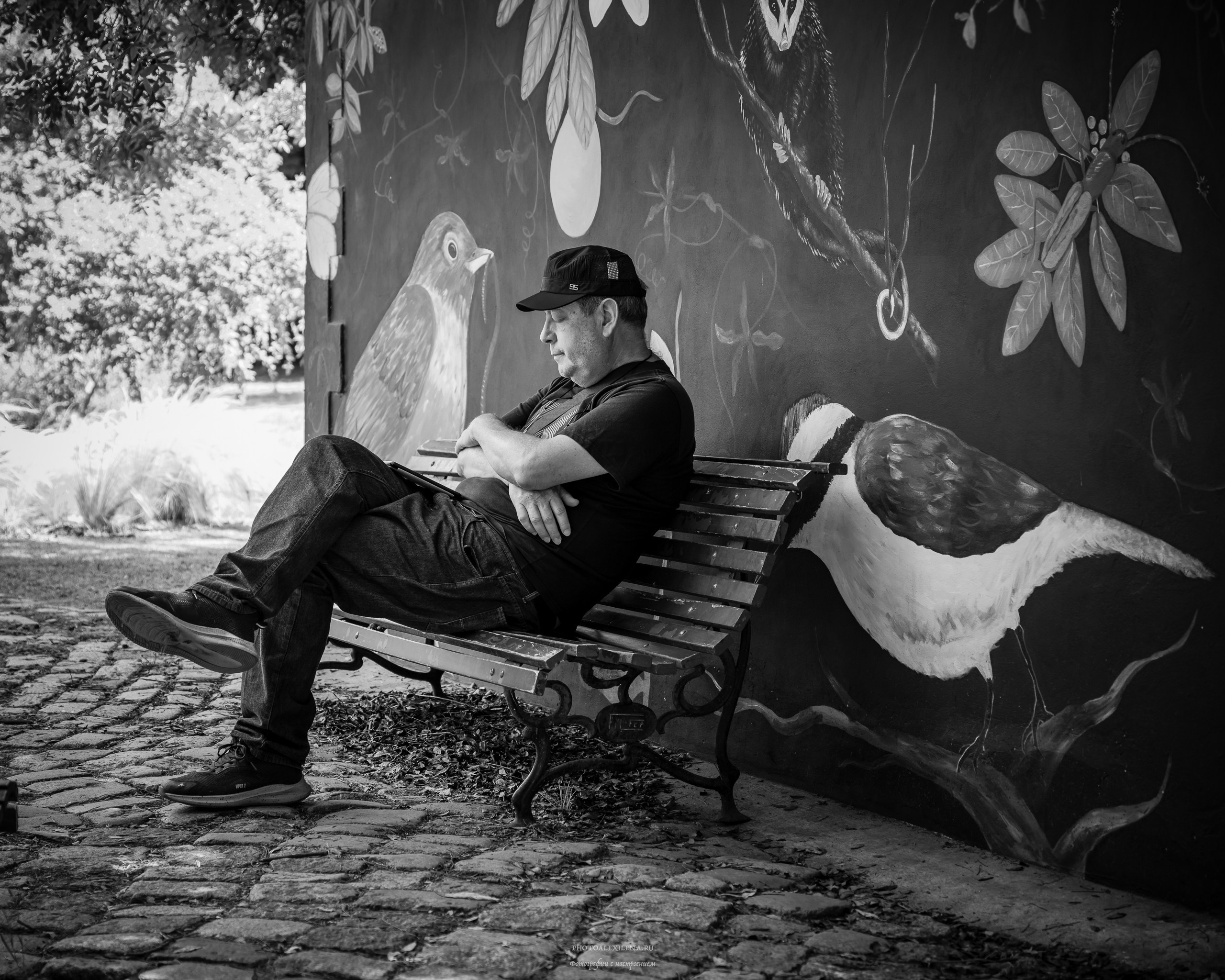 Решающий момент. Авторские стильные фотокартины