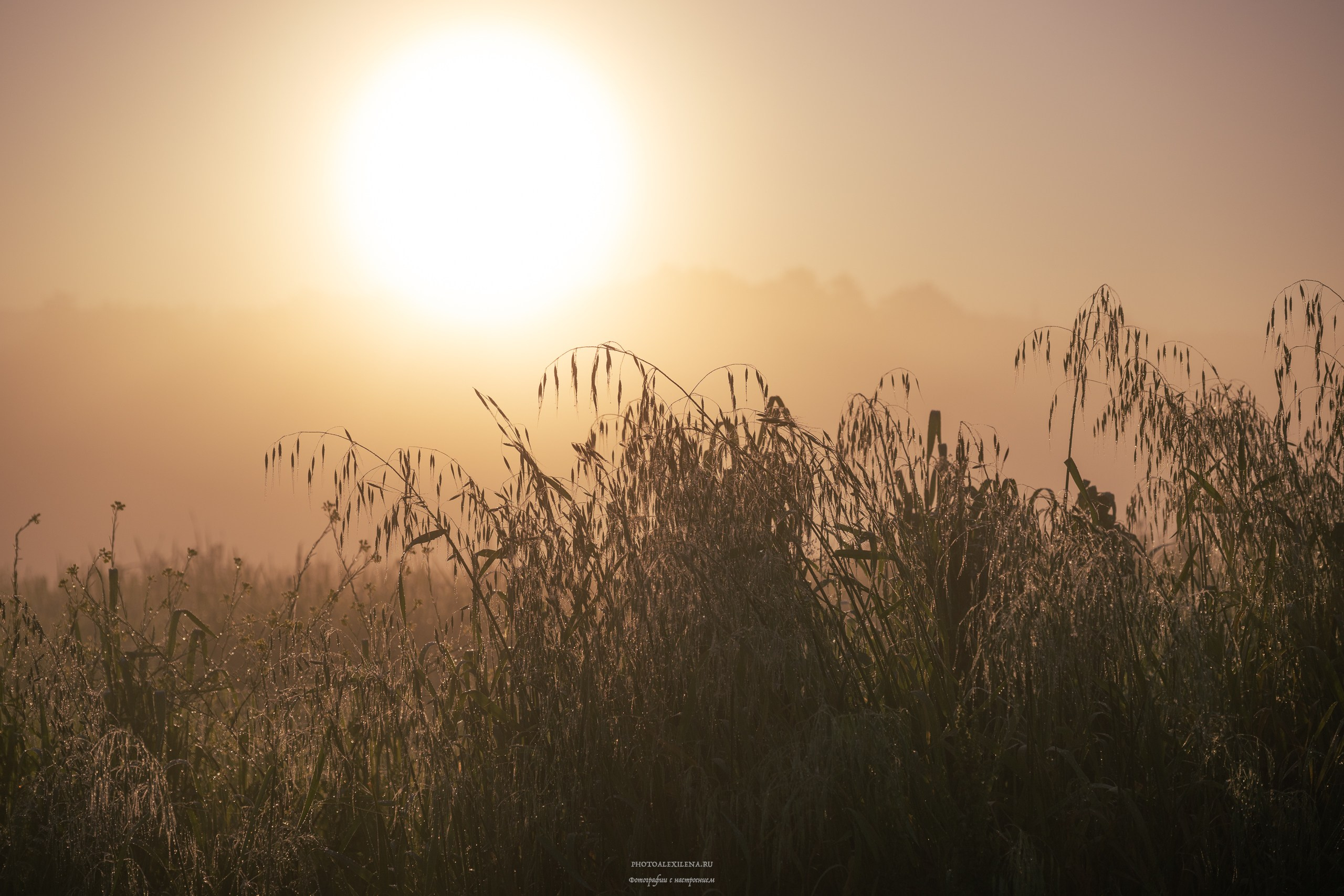 Волшебное утро в Тоскане. Авторские стильные фотокартины