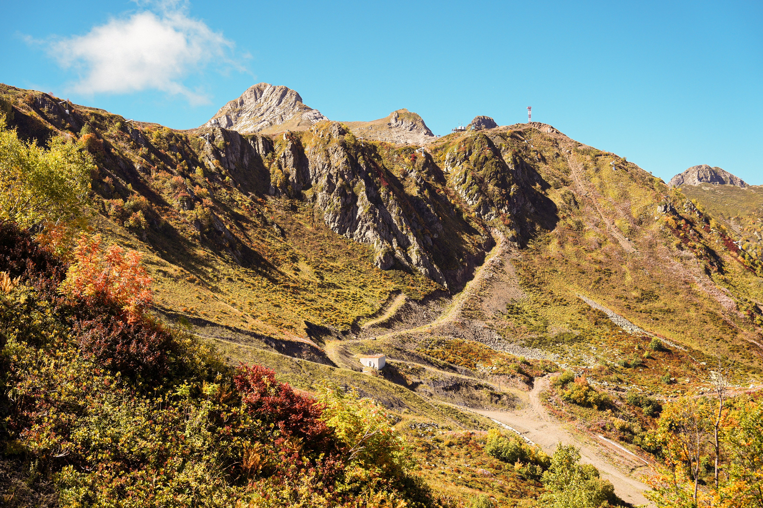 Ыаывы. Репортажный фотограф в Красной Поляне и Сочи Павлюченко Екатерина