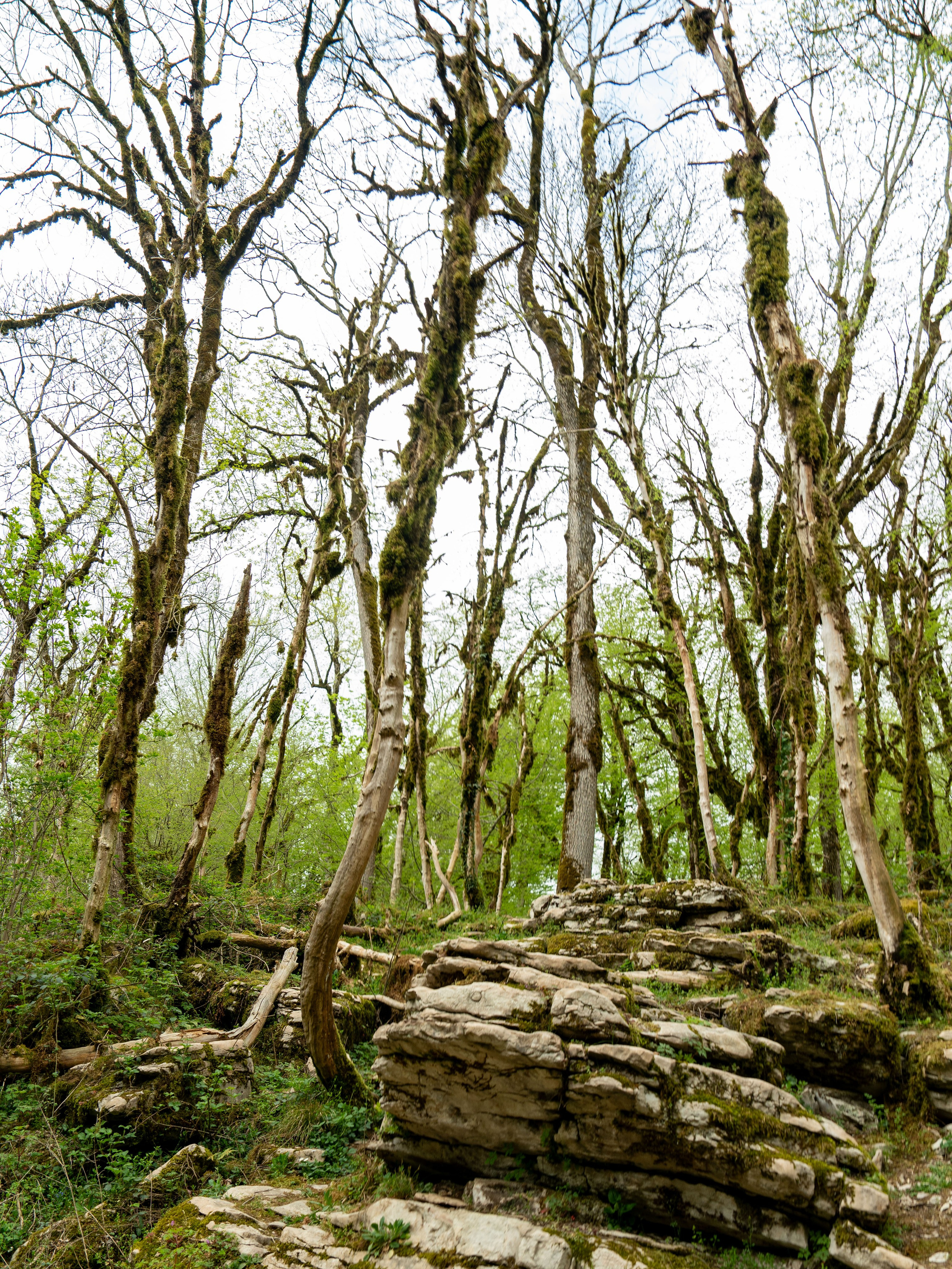 MICE мероприятие — джиппинг на каньон Псахо. Репортажный фотограф в Красной Поляне и Сочи Павлюченко Екатерина