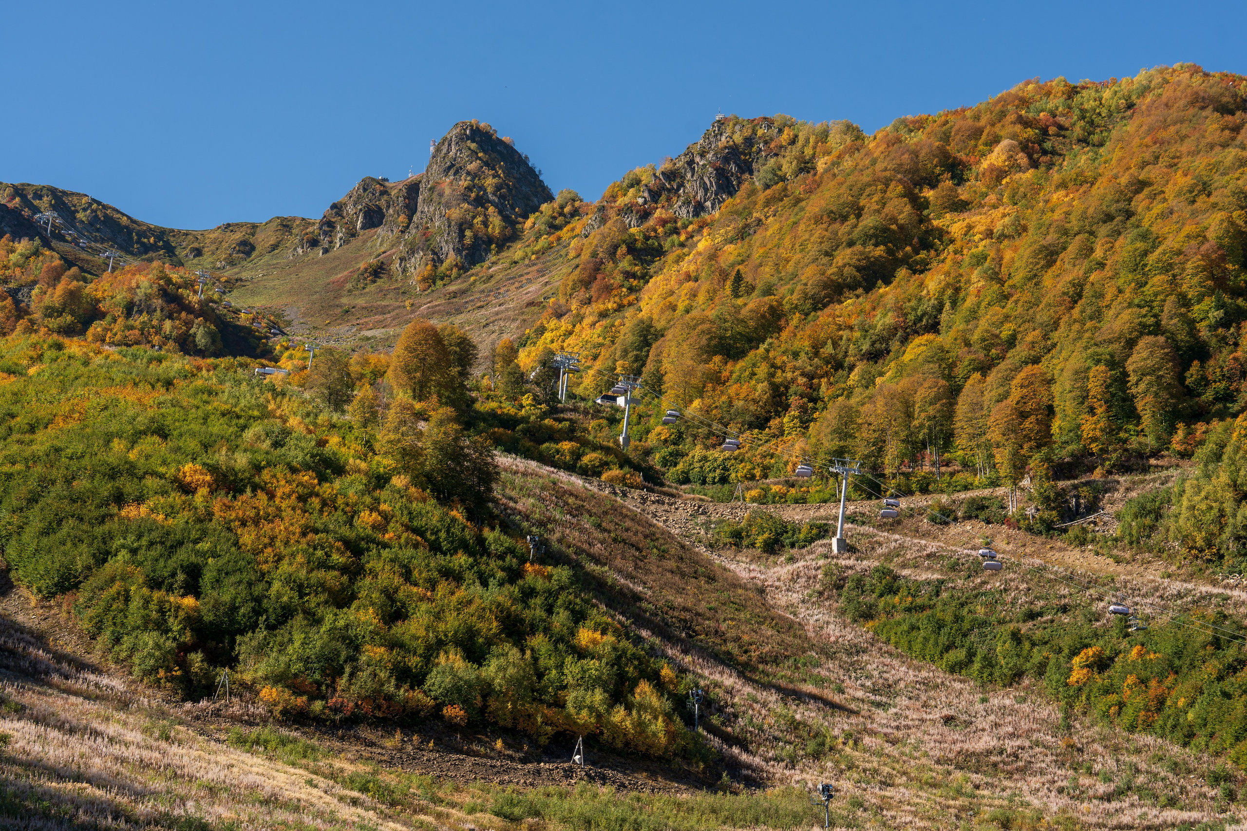 ChinaRosaFest 2024. Репортажный фотограф в Красной Поляне и Сочи Павлюченко Екатерина