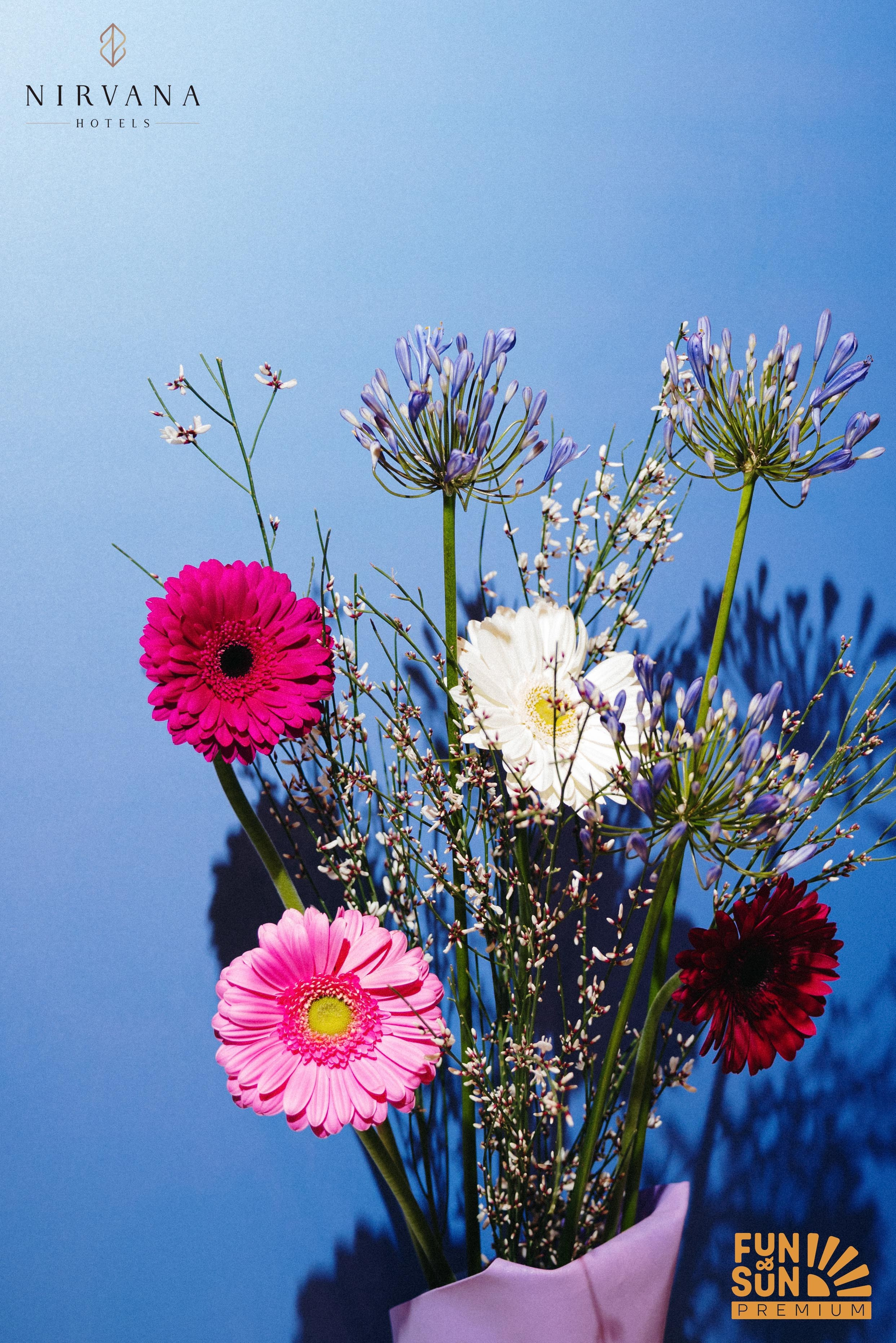 Nirvana hotels / FUN&SUN бранч — презентация. Фотограф в Минске