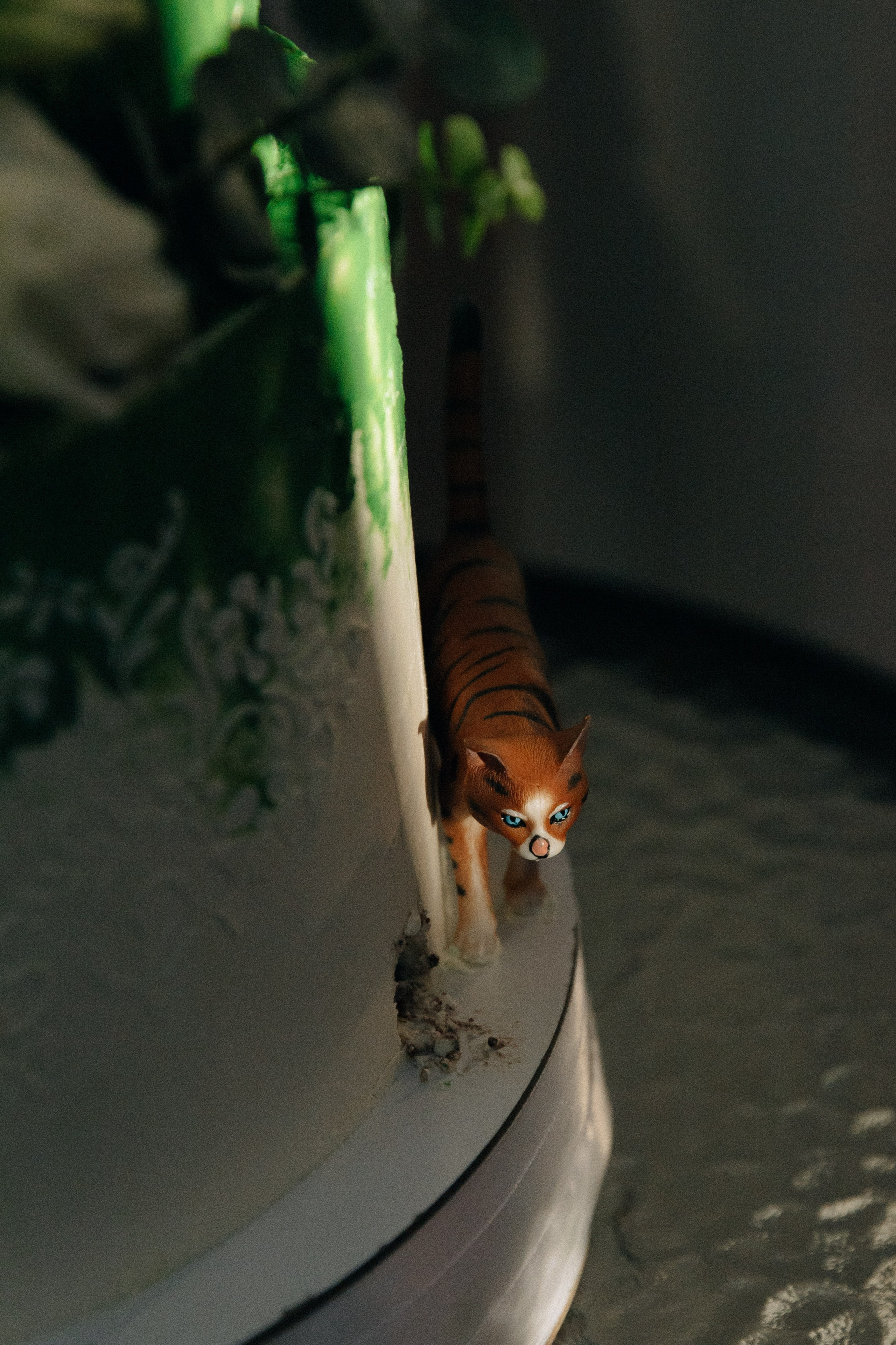 Свадьба в глэмпинге «Хвоя». Свадебный фотограф в Нижнем Новгороде Генеральская Ира