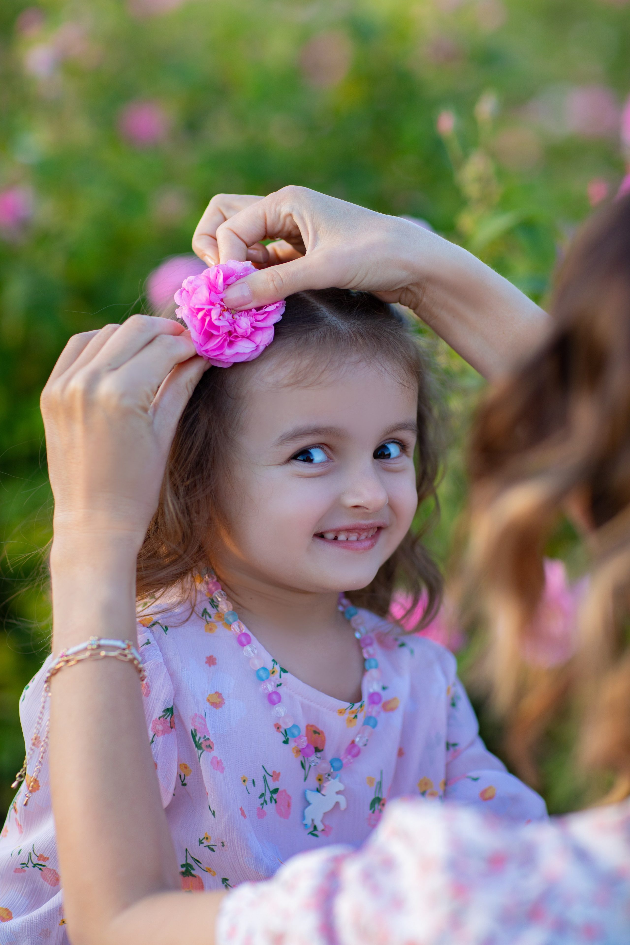 Чайная роза. Фотограф Севастополь/Крым Светлана Евтушенко