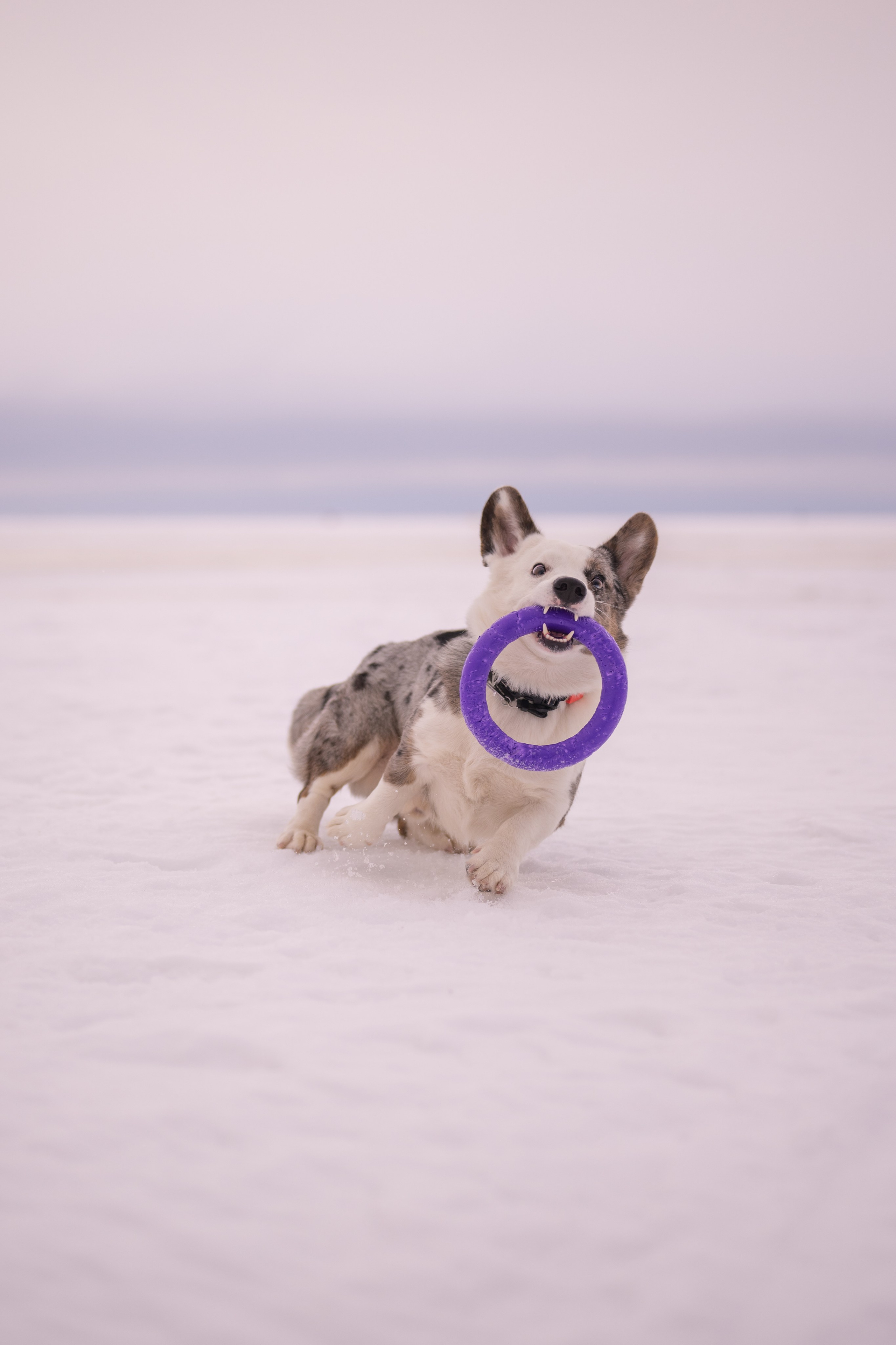Семейные съемки. Фотограф в Санкт-Петербурге Александра Ладыгина