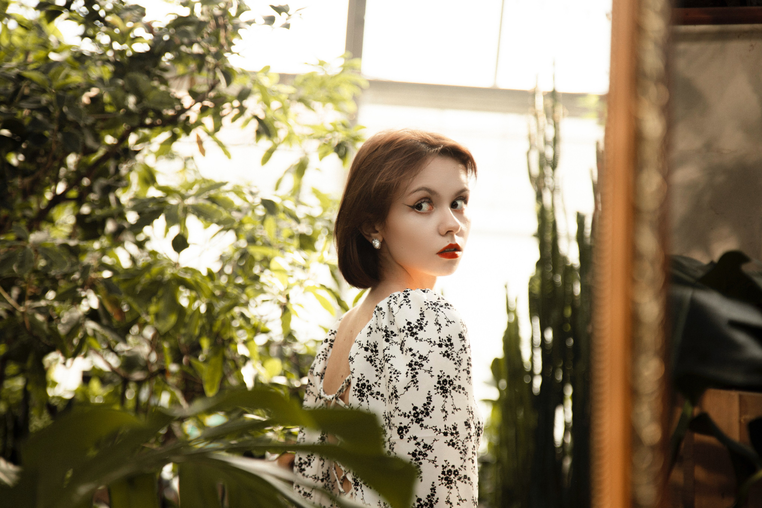 Оранжерея Таврического сада