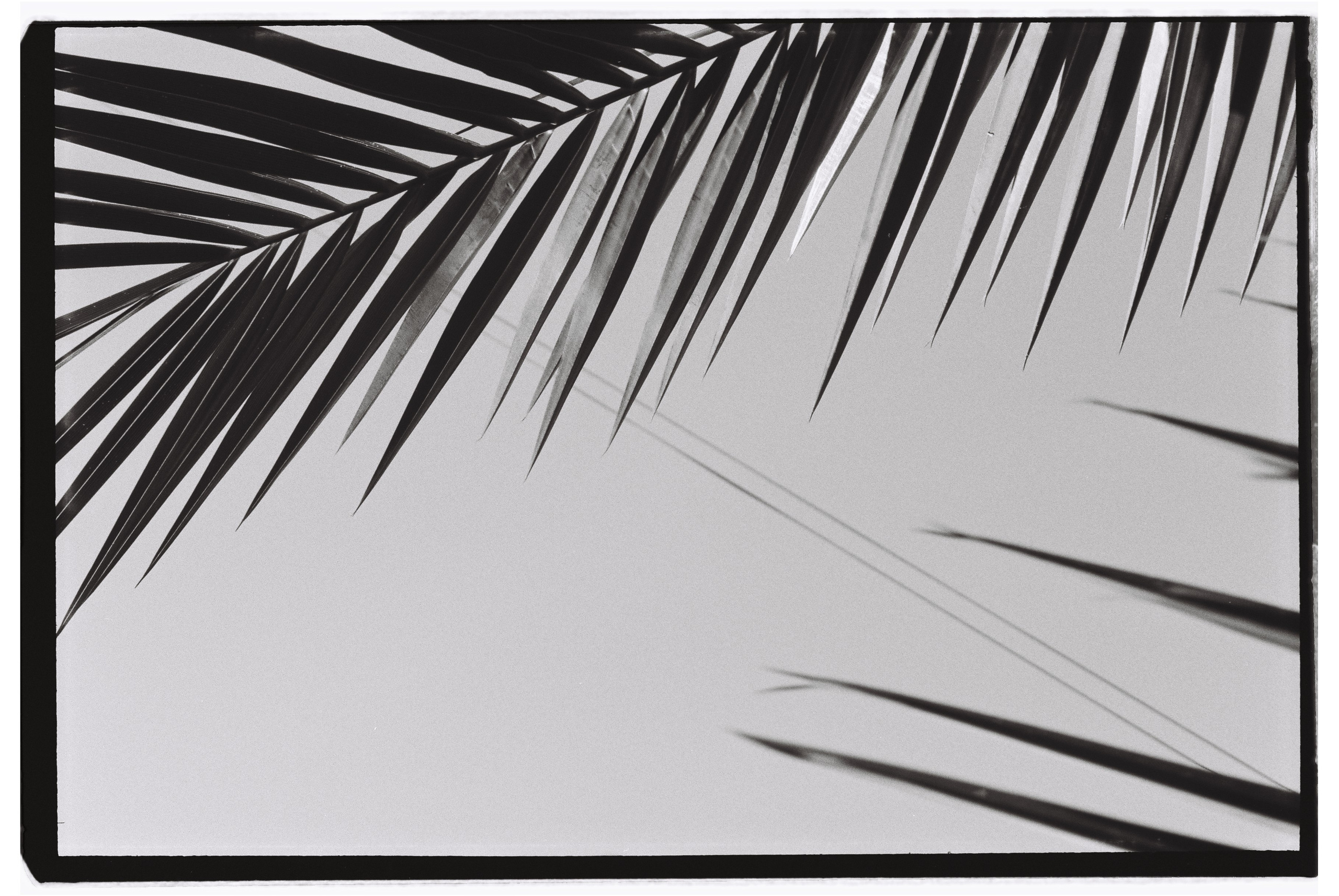 Пленочная фотография. ТАТИ | Татьяна Тихонова | фотограф | Тольятти Самара