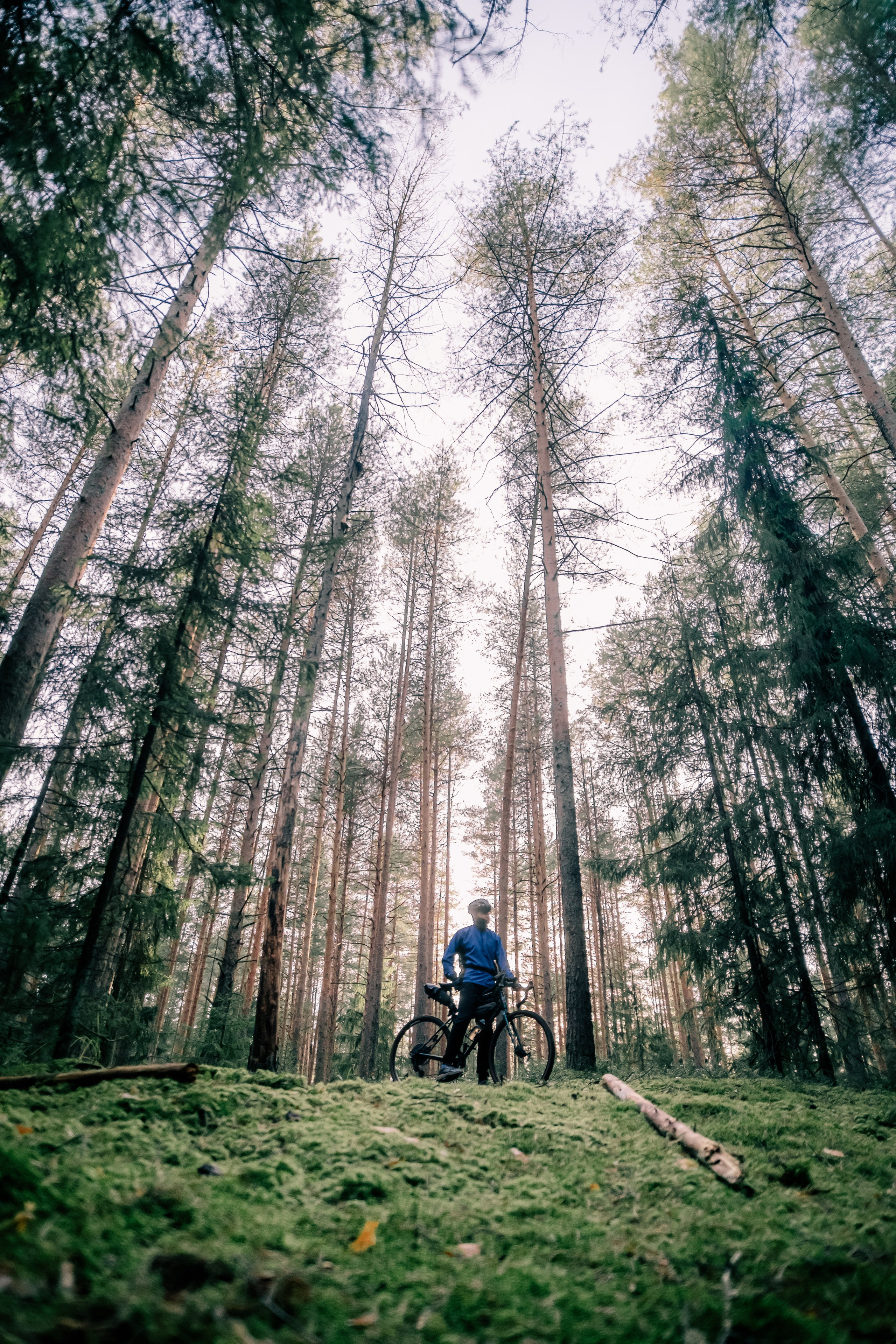 Индивидуальная съемка | Александр Шихалев. Фотограф Валерия Кононова