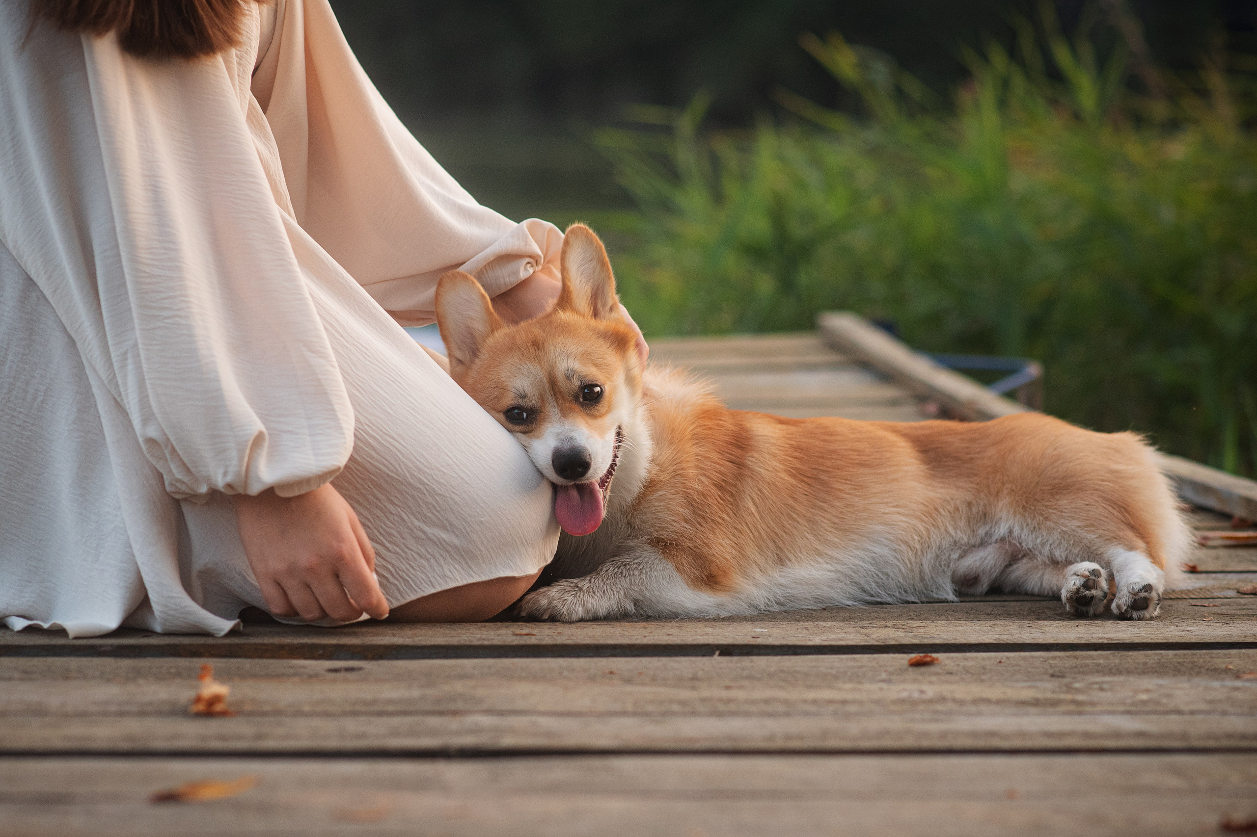 Саша, Оксана и Барни — 25.08.2024. Фотограф — Анималист | Анна Абрамова