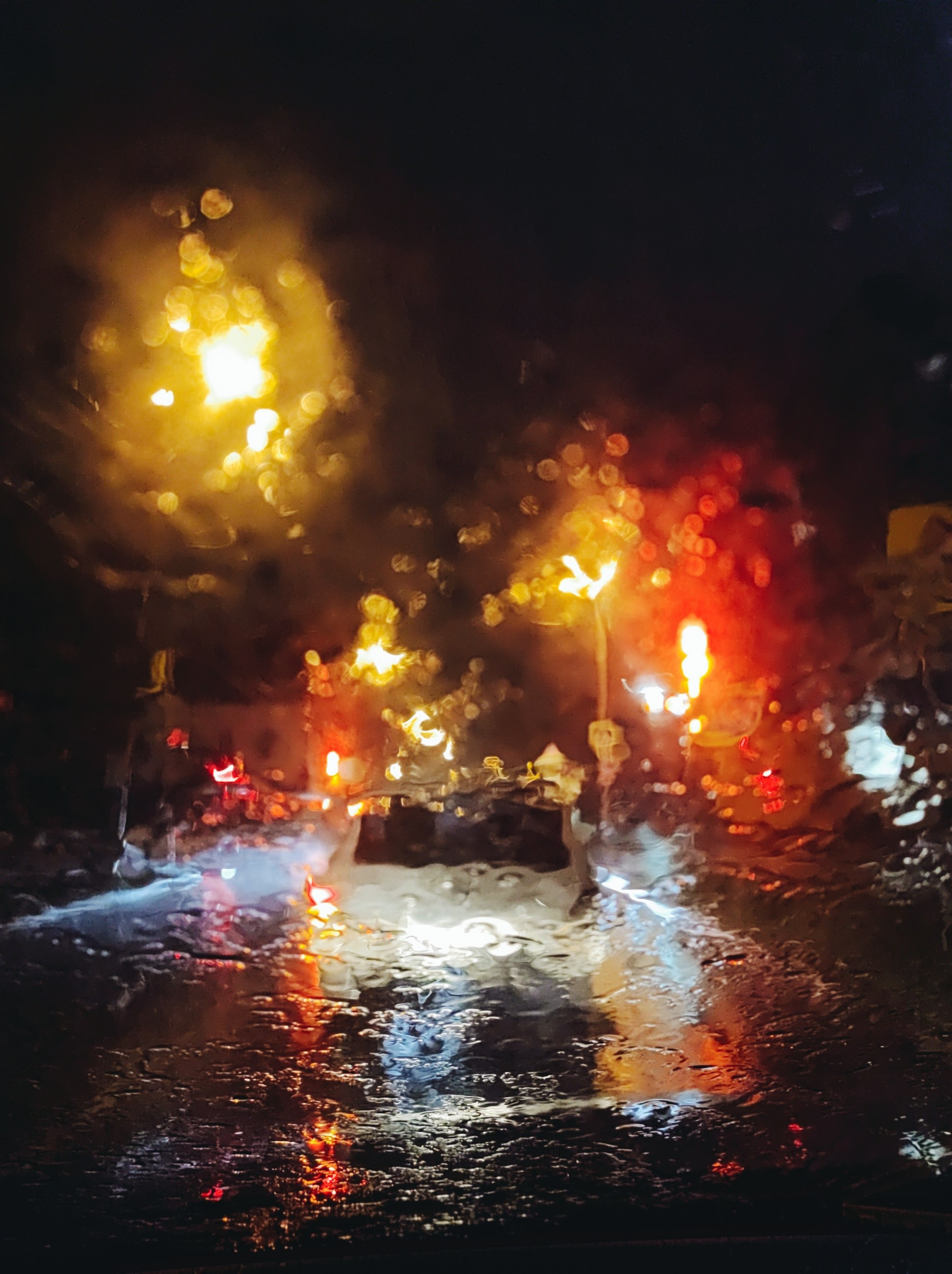 Намобилкус тульский. Репортажный фотограф Алексей Пирязев