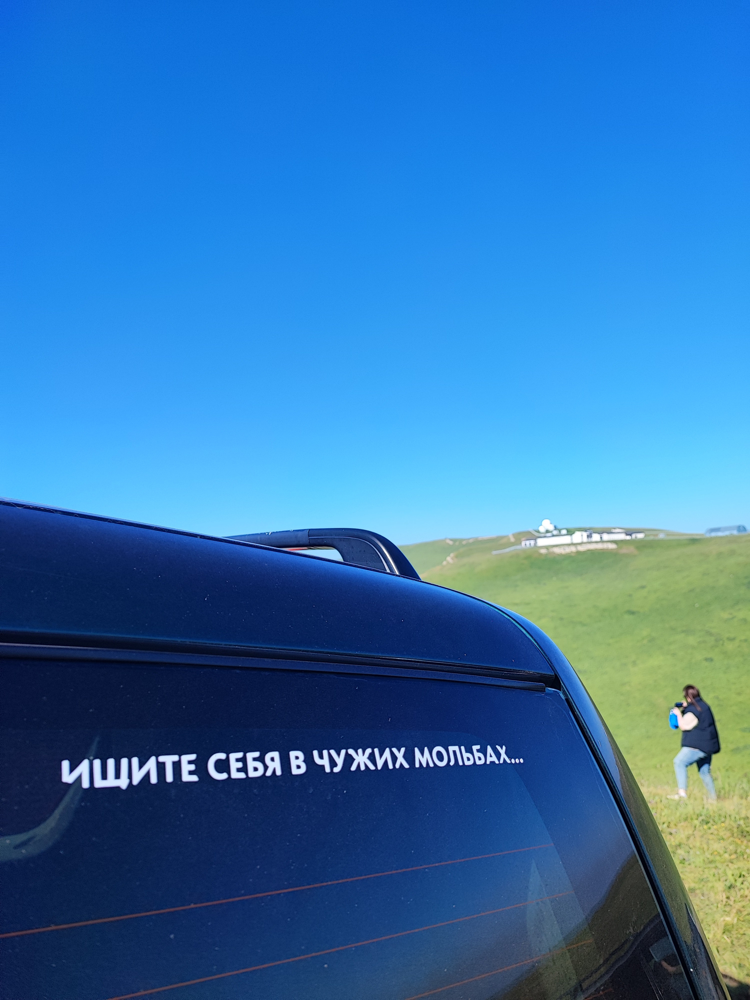 Намобилкус кавказский. Репортажный фотограф Алексей Пирязев