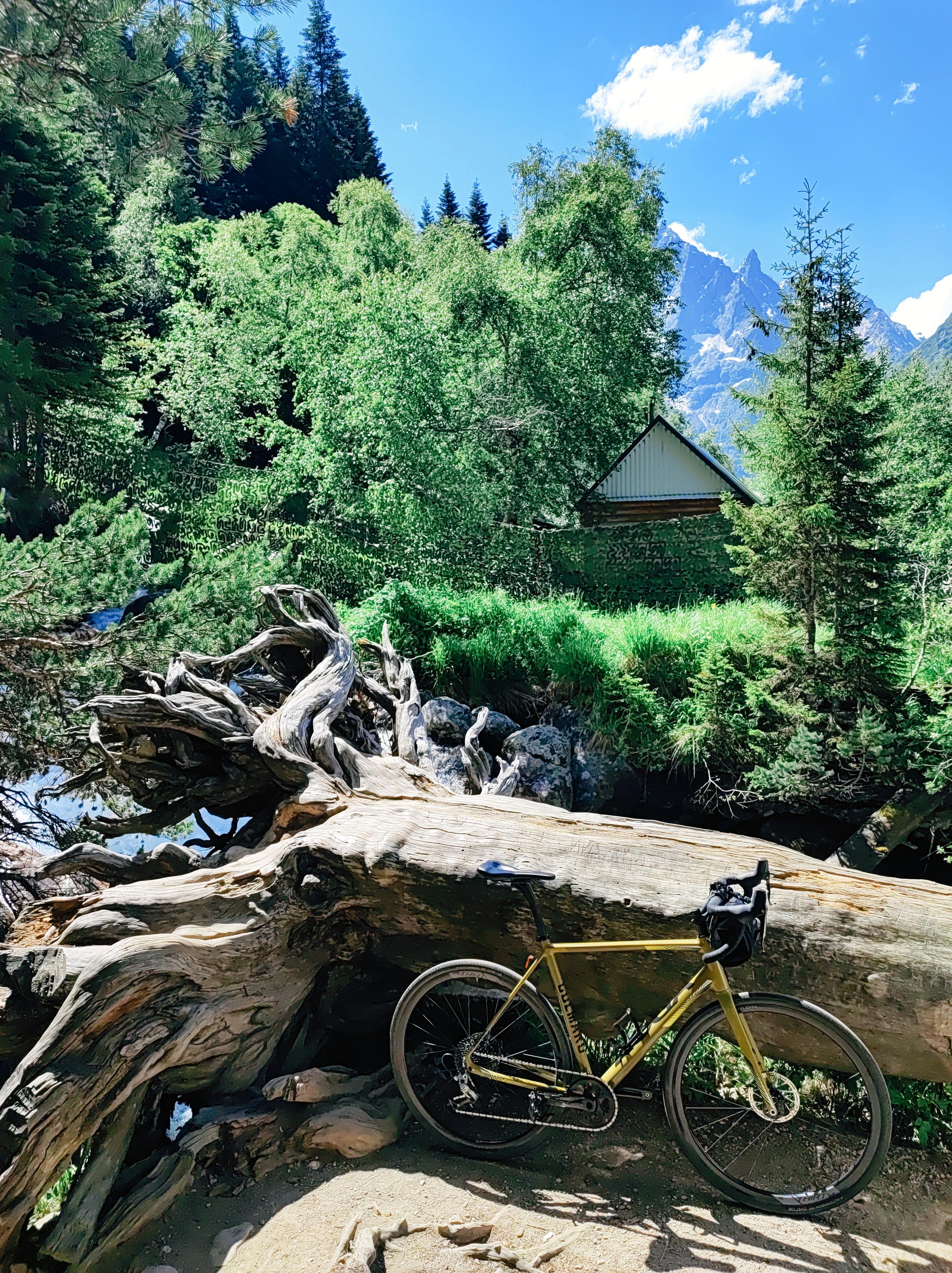 Намобилкус кавказский. Репортажный фотограф Алексей Пирязев