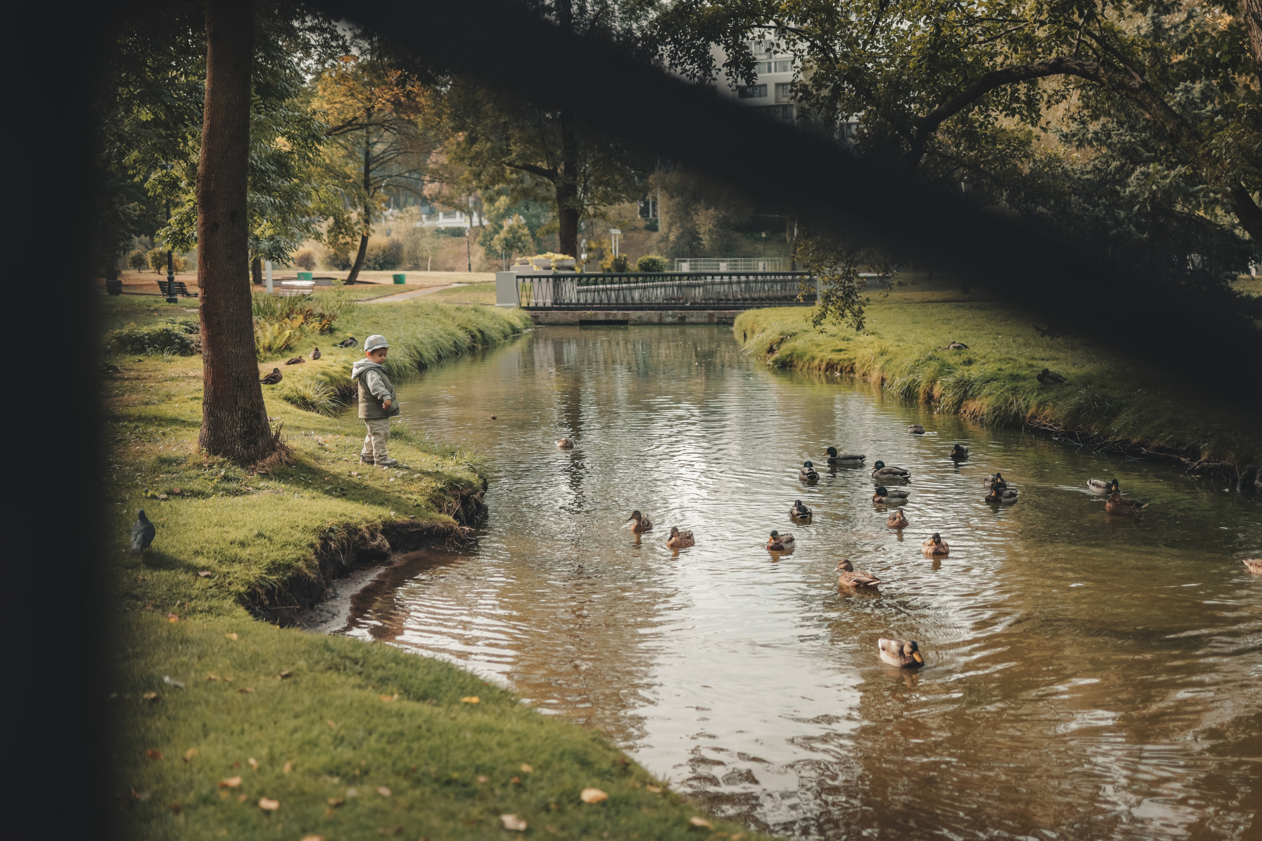Семейная фотосессия в парке. Детский и семейный фотограф в Минске Дарья Арашкович