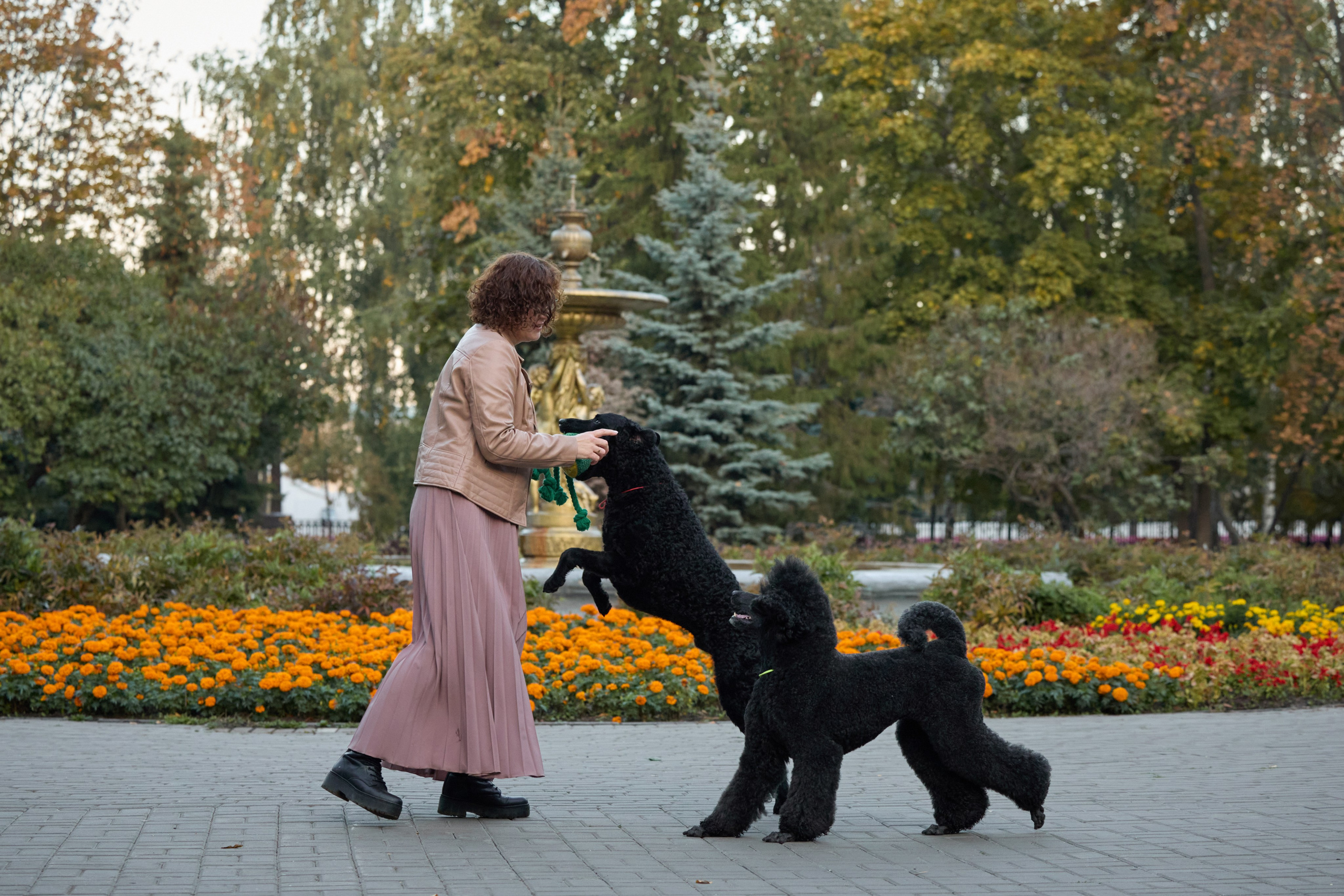 Альбина. Марфа и Мистик. Прогулка в парке. Фотограф анималист в Казани Алина Сулейманова. Фотограф животных