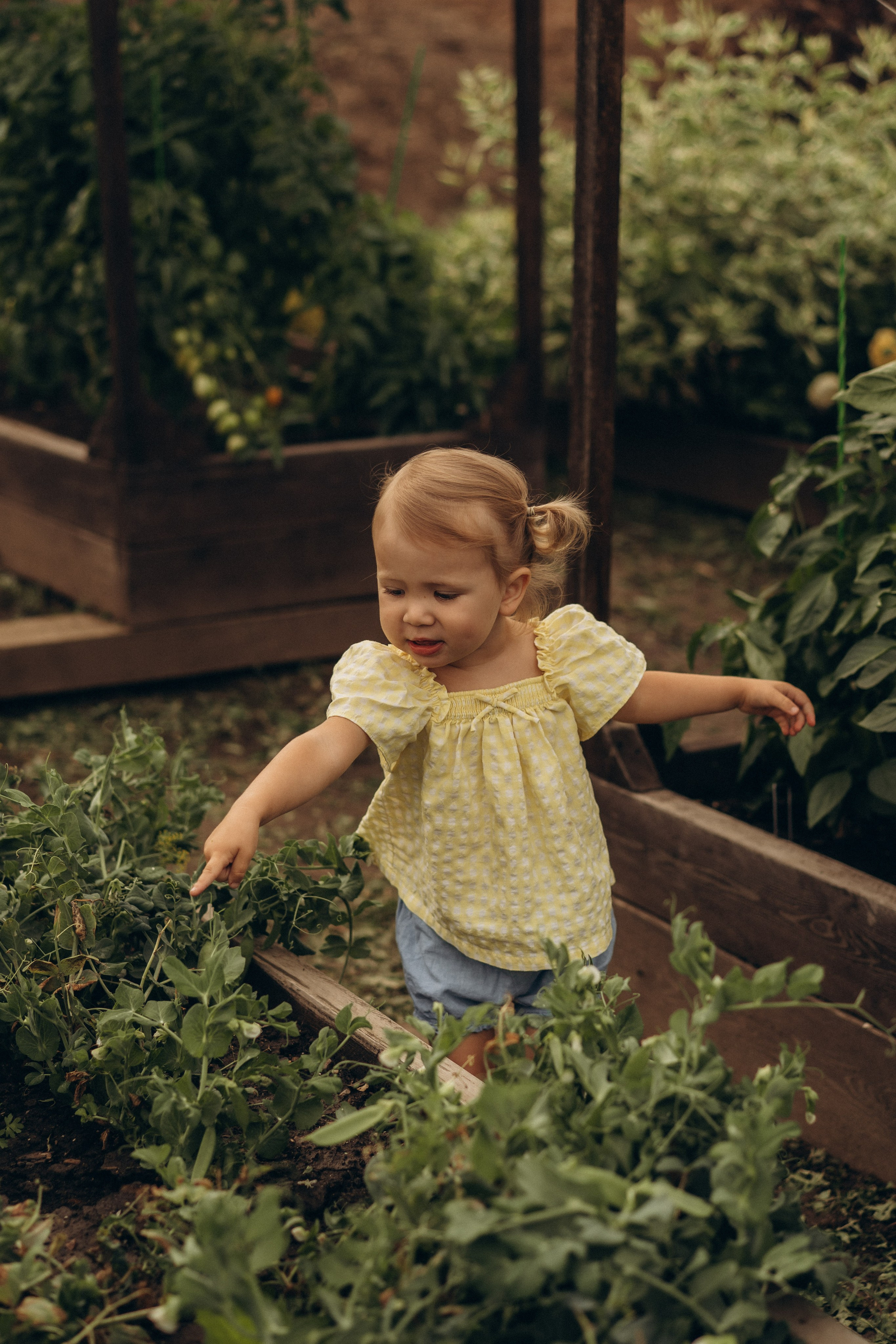 Удачные дела. Семейный фотограф в Ангарске/ Иркутске