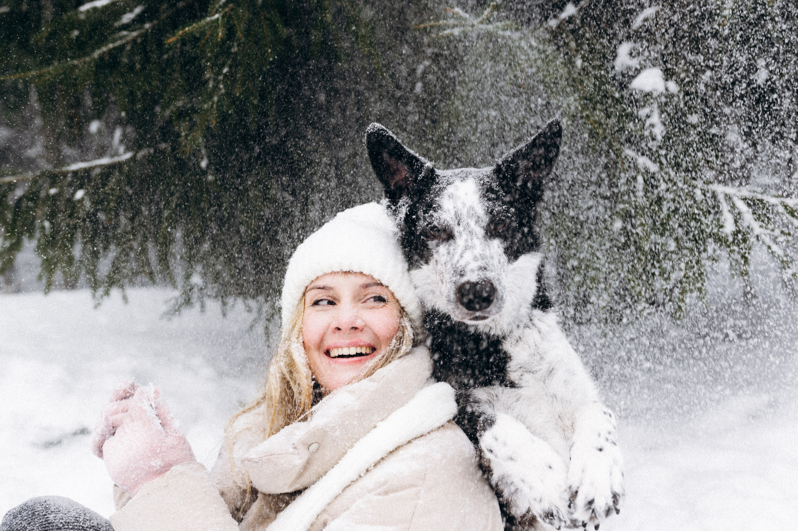 Аня и Милан. Фотограф анималист в Москве Ольга Агушева