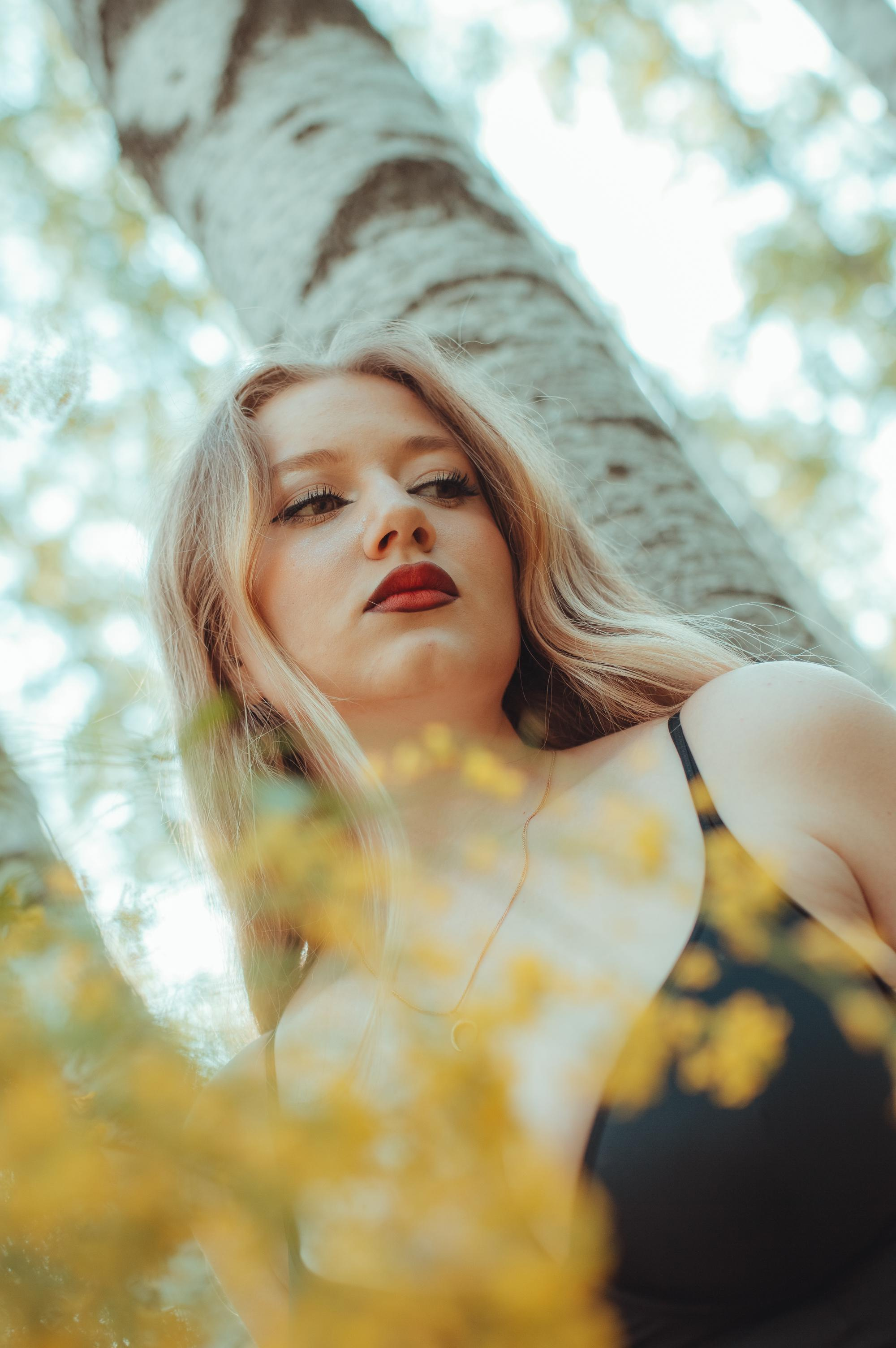 Once upon a time in the May forest