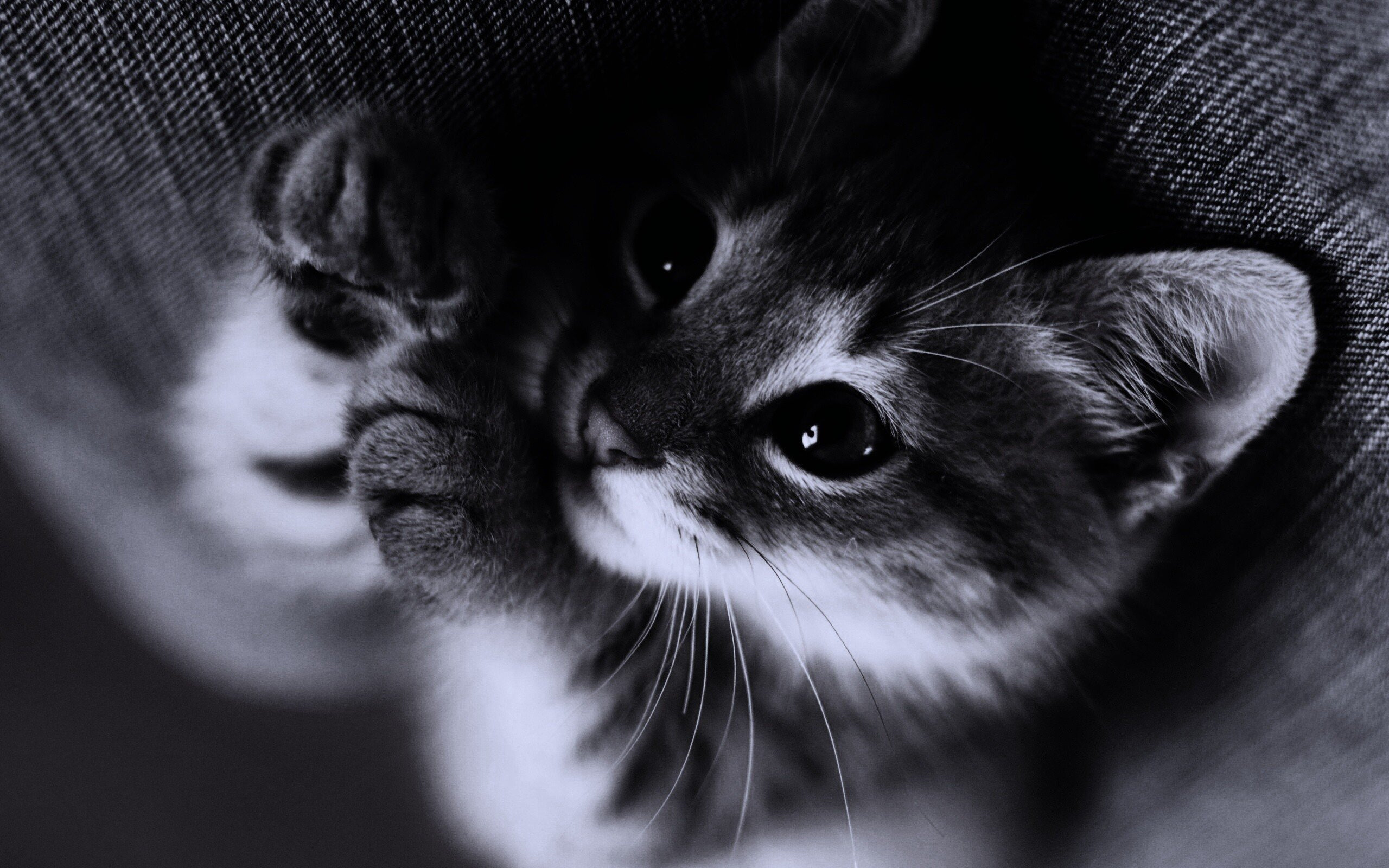 Место для твоих слов