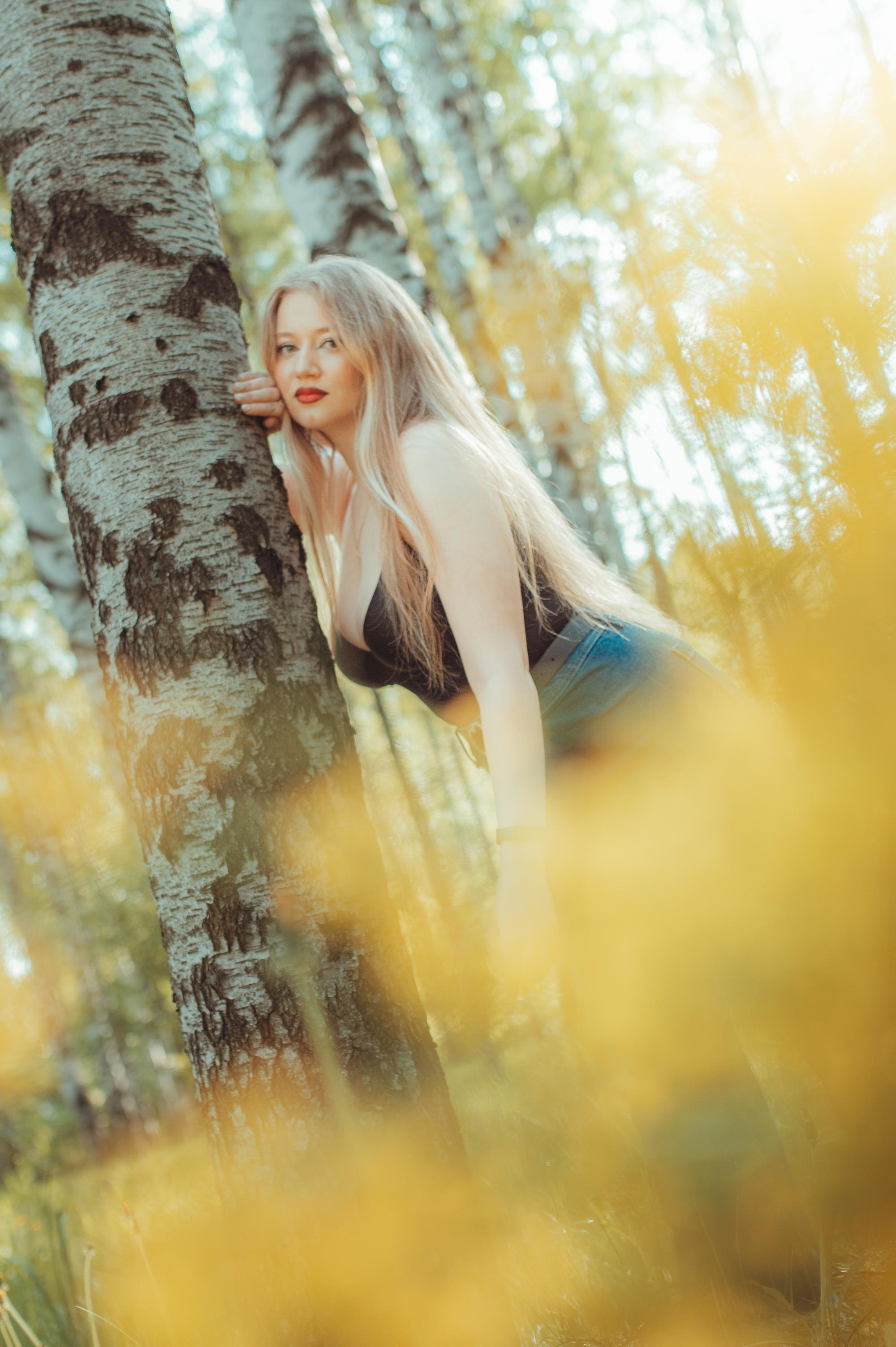 Once upon a time in the May forest