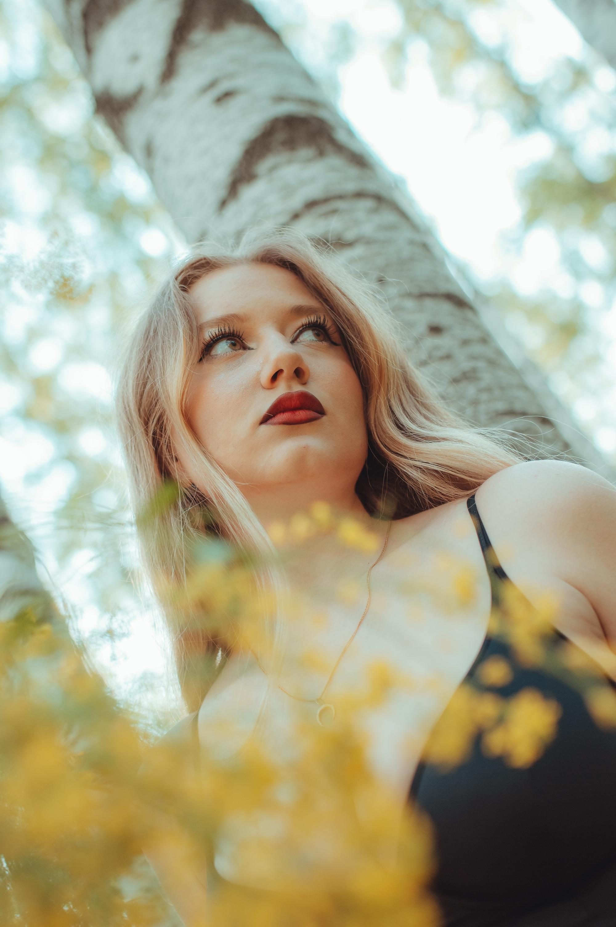 Once upon a time in the May forest