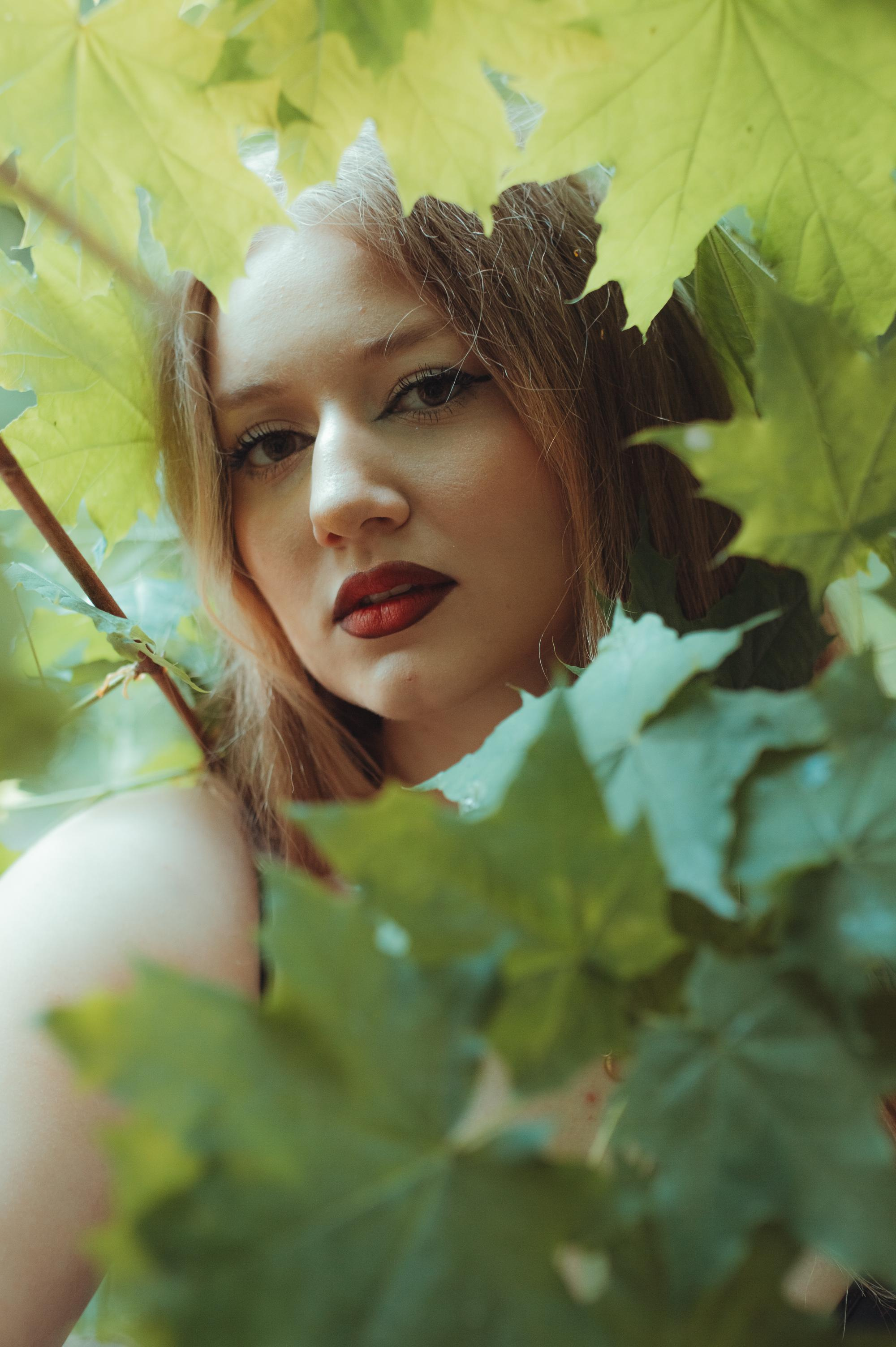 Once upon a time in the May forest