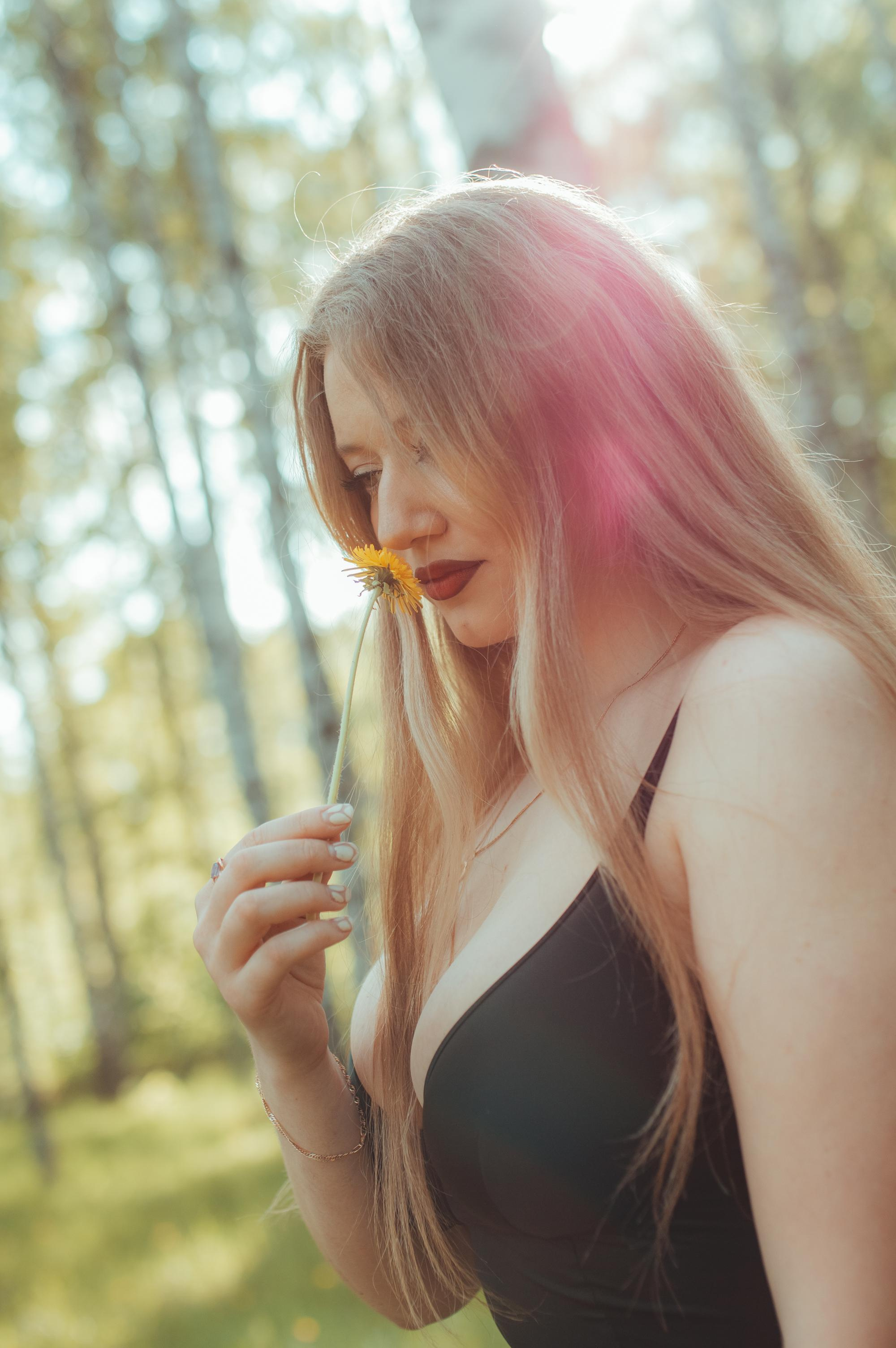 Once upon a time in the May forest