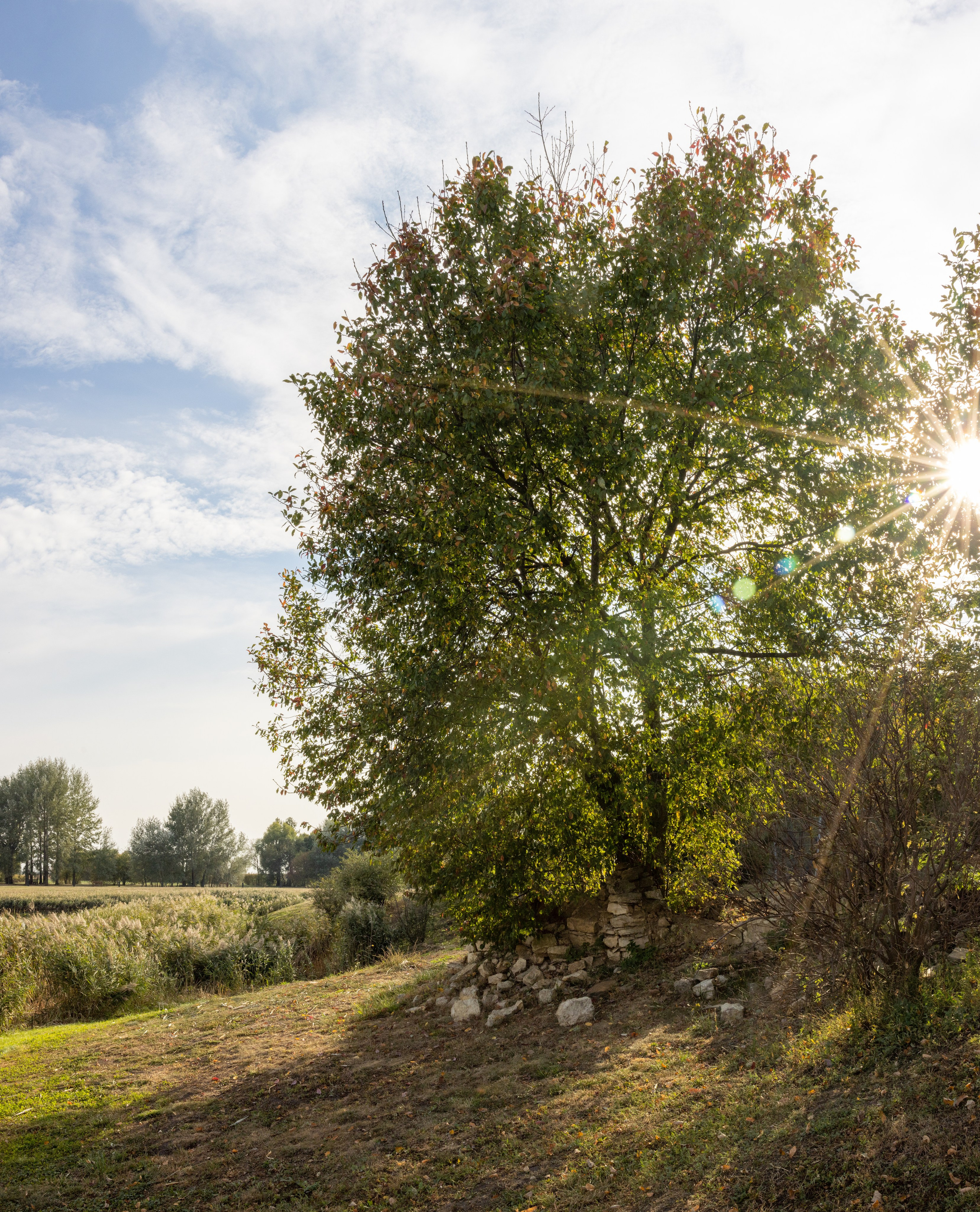 Куликово Поле. Фотограф в Туле Крупский АнДРей. Фотостудия «КАДР71» в Туле
