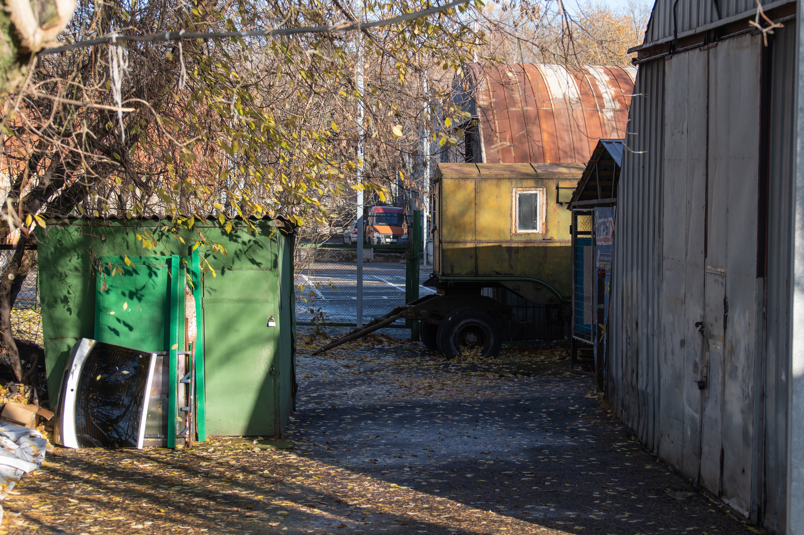 20241102 МГУ. Дмитрий Ремизов. Фотография, как хобби