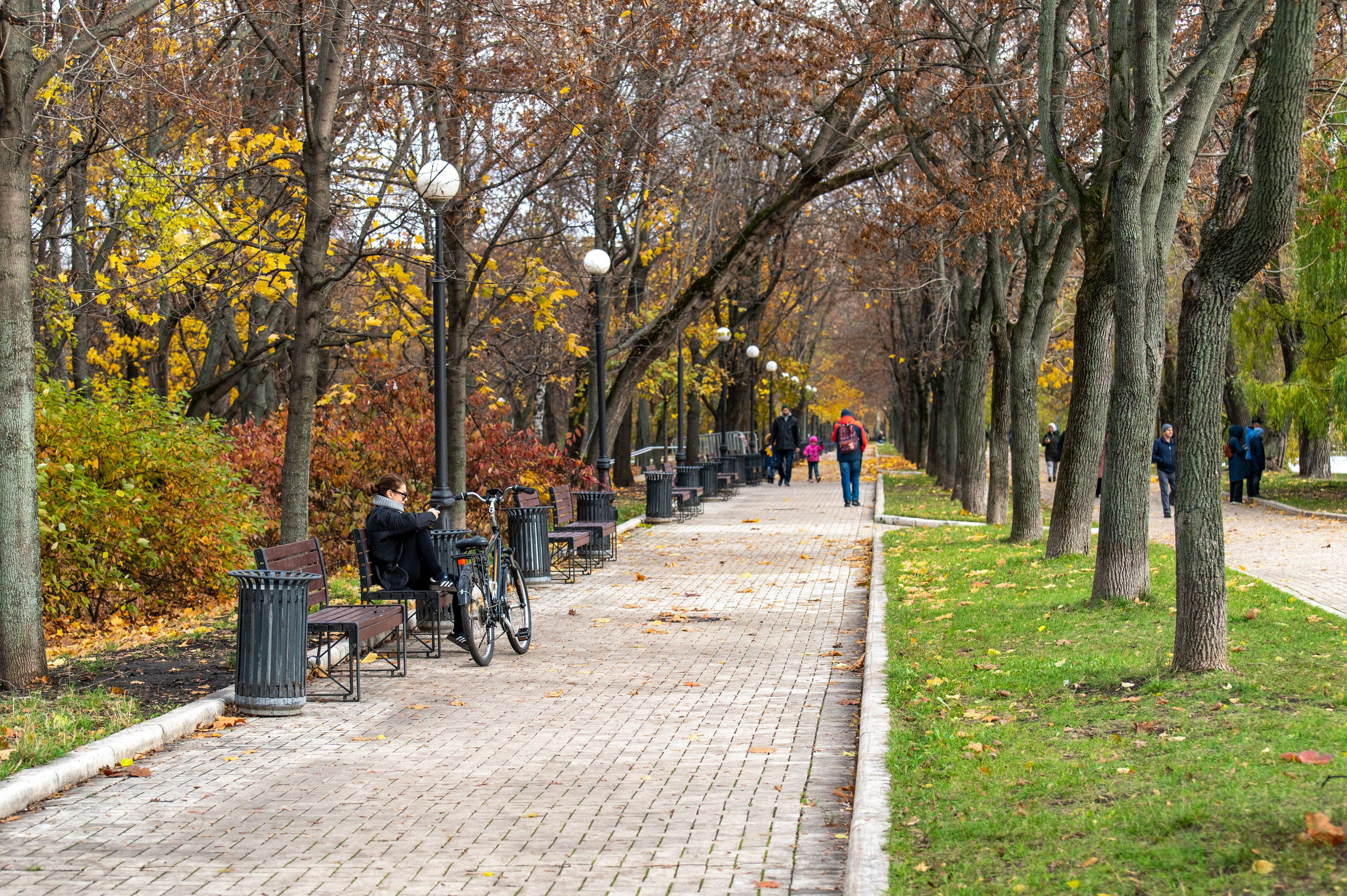 20221030 Новодевичий. Дмитрий Ремизов. Фотография, как хобби