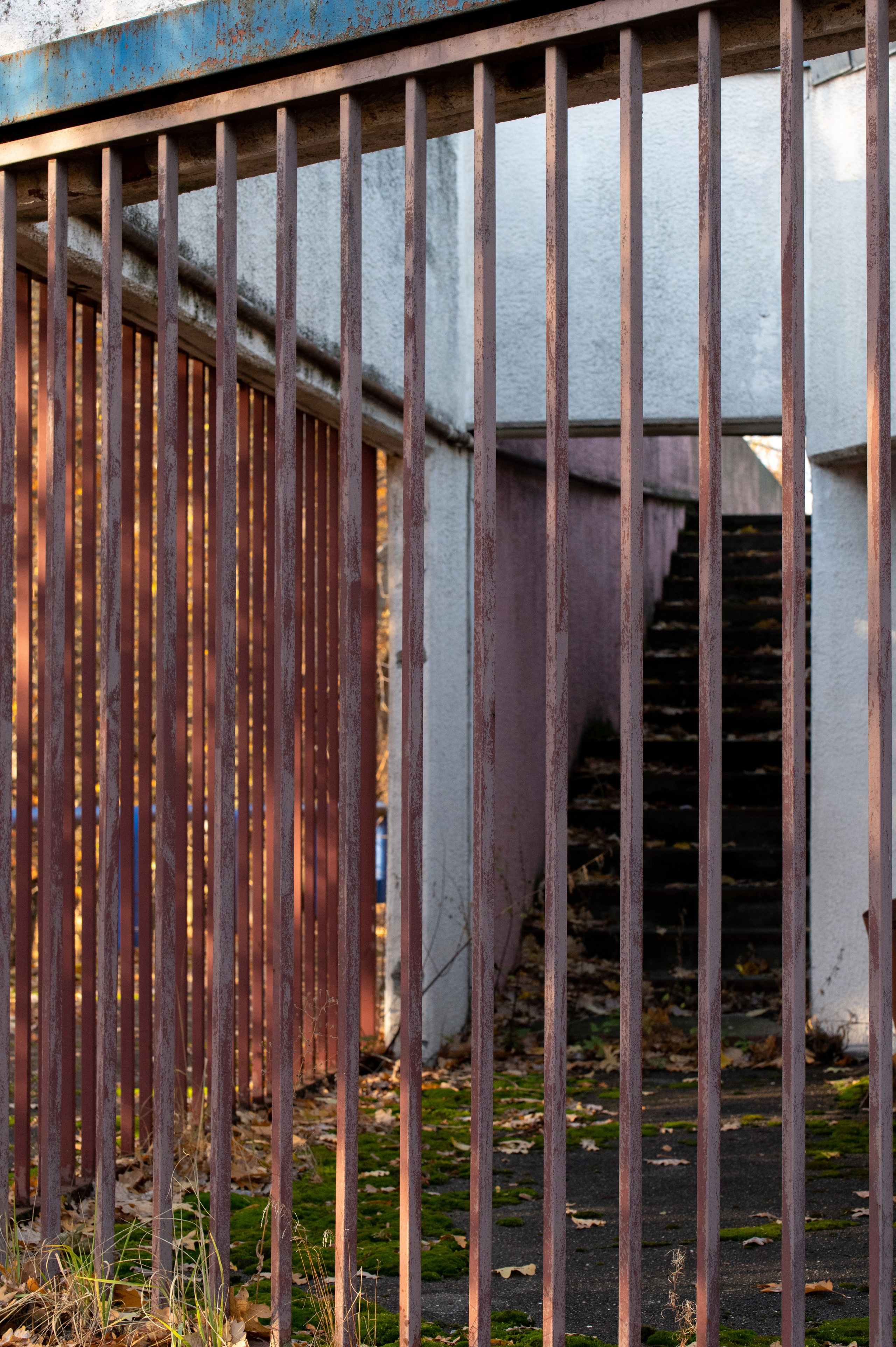 20241102 МГУ. Дмитрий Ремизов. Фотография, как хобби