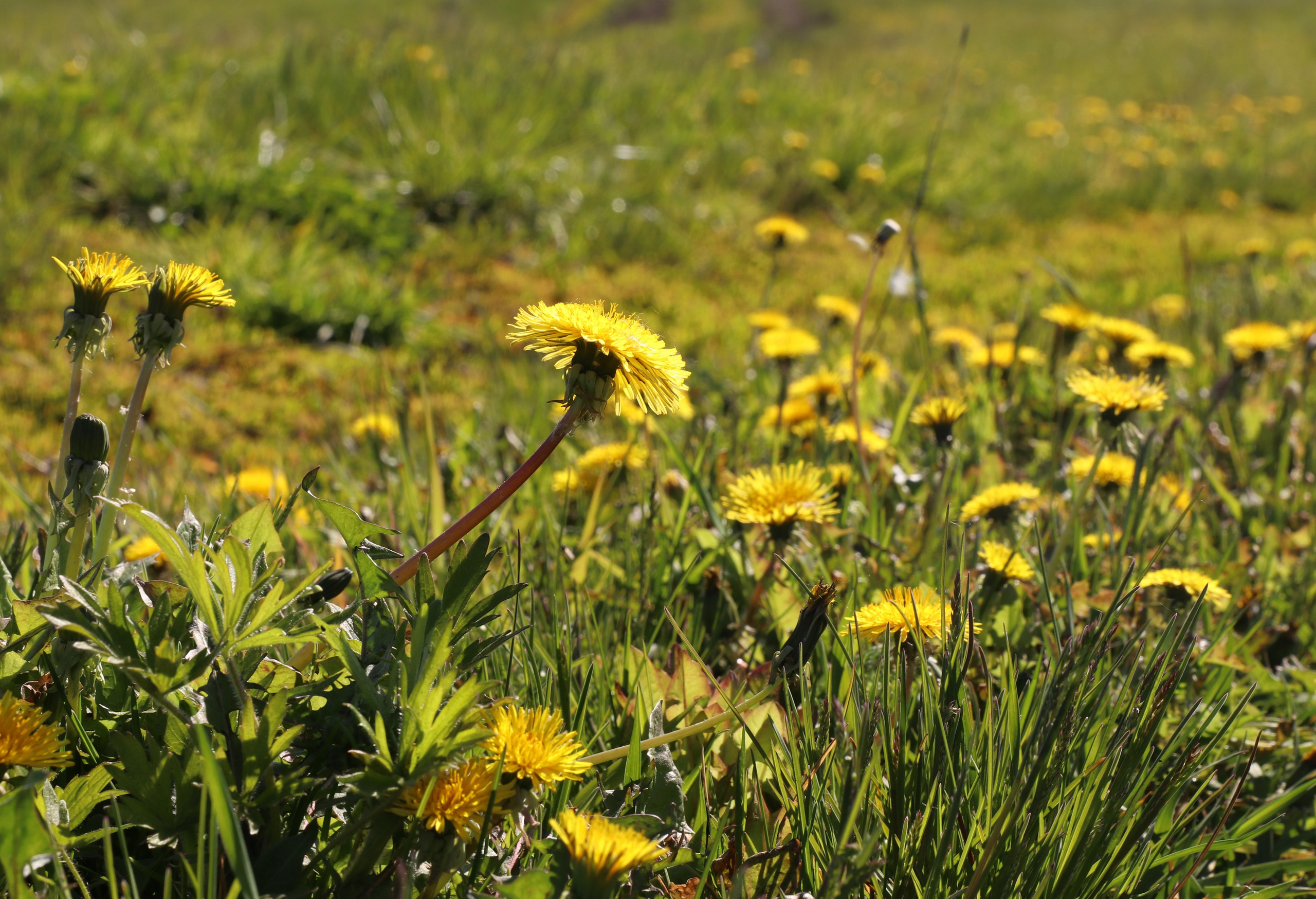 Велопоход Уфа — Мелеуз. Май 2024. Путешественник-фотограф из Санкт-Петербурга Татьяна Свистулина