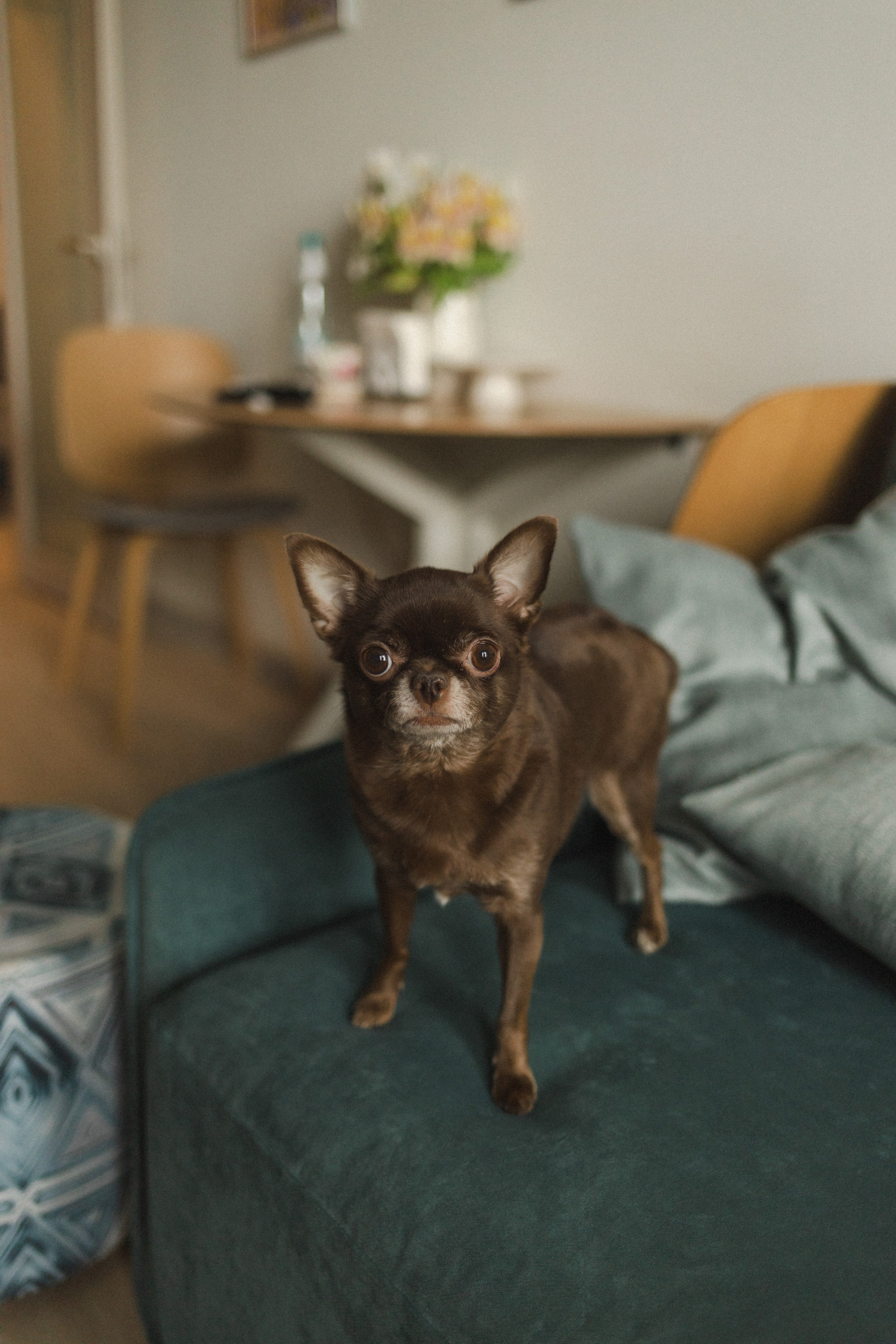 Снежана и Денис. Семейный фотограф в Москве
