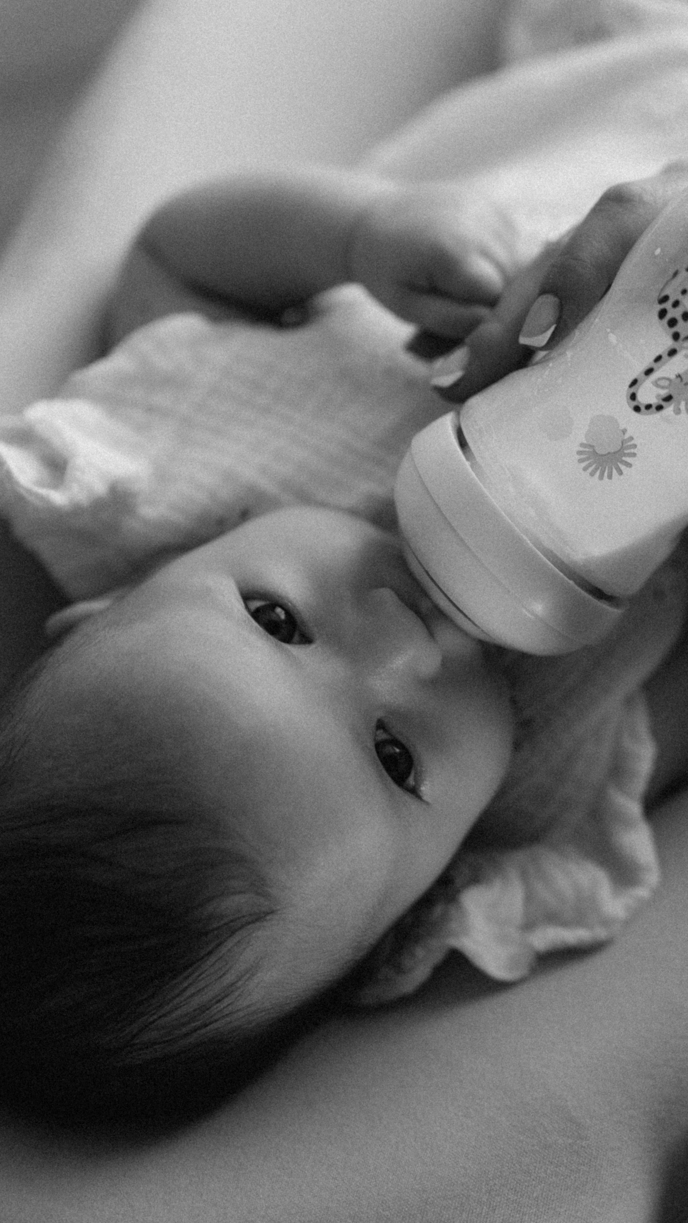 Семейные. Фотограф на Камчатке Воронина Ульяна